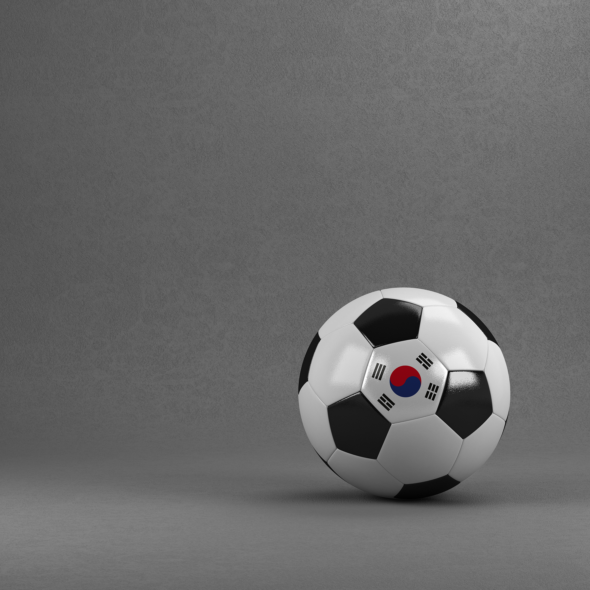 south korea soccer ball