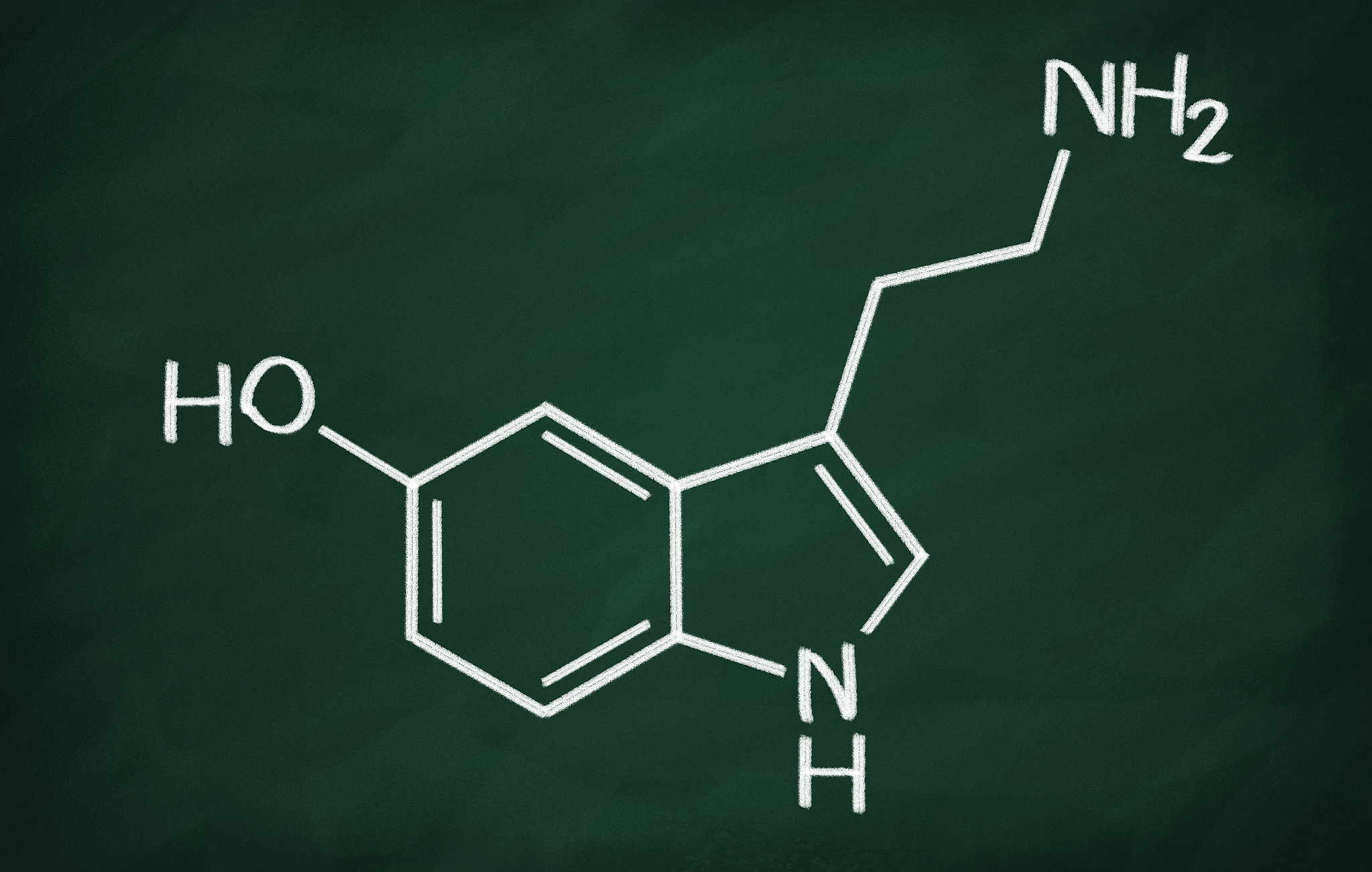 structural model of serotonin
