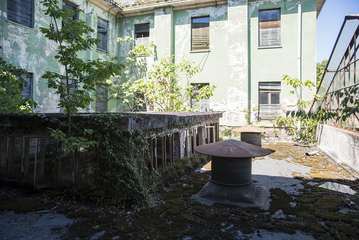 应用心理学专业精神病院实习鉴定：优秀表现与未来展望