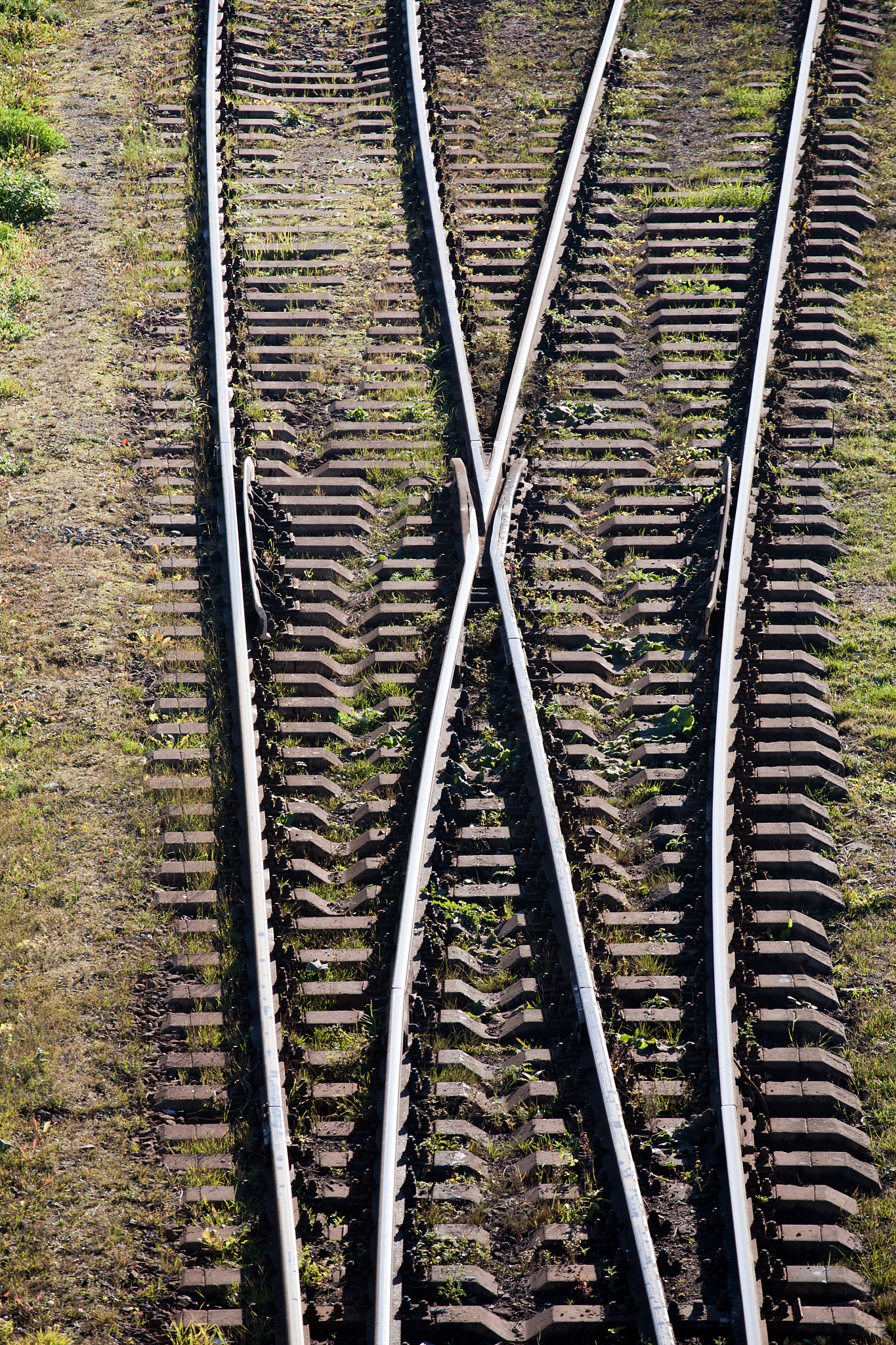 成都电大商贸学院铁道运输管理专业招生 | 培养高素质铁道运输管理人才