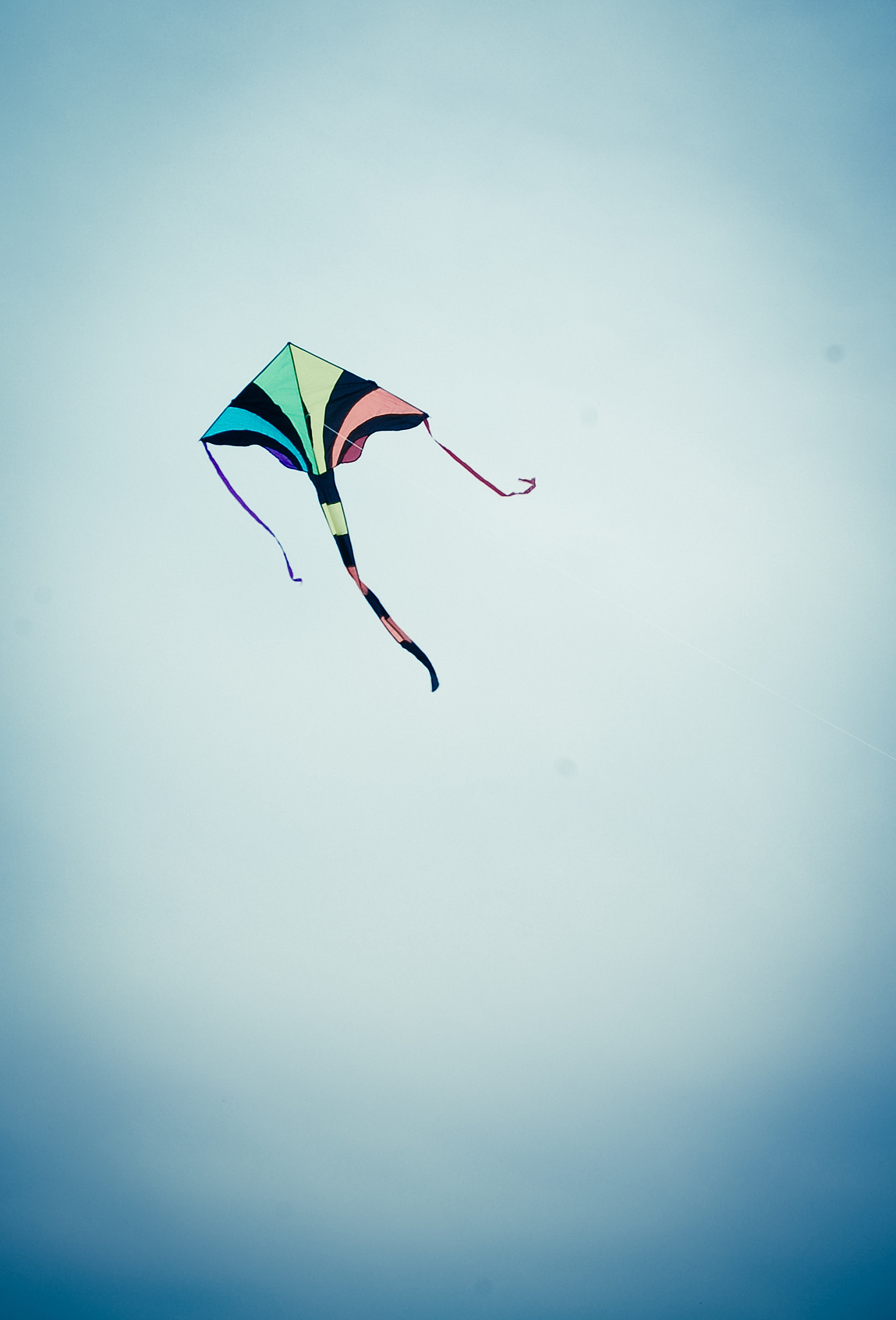 kite flying high