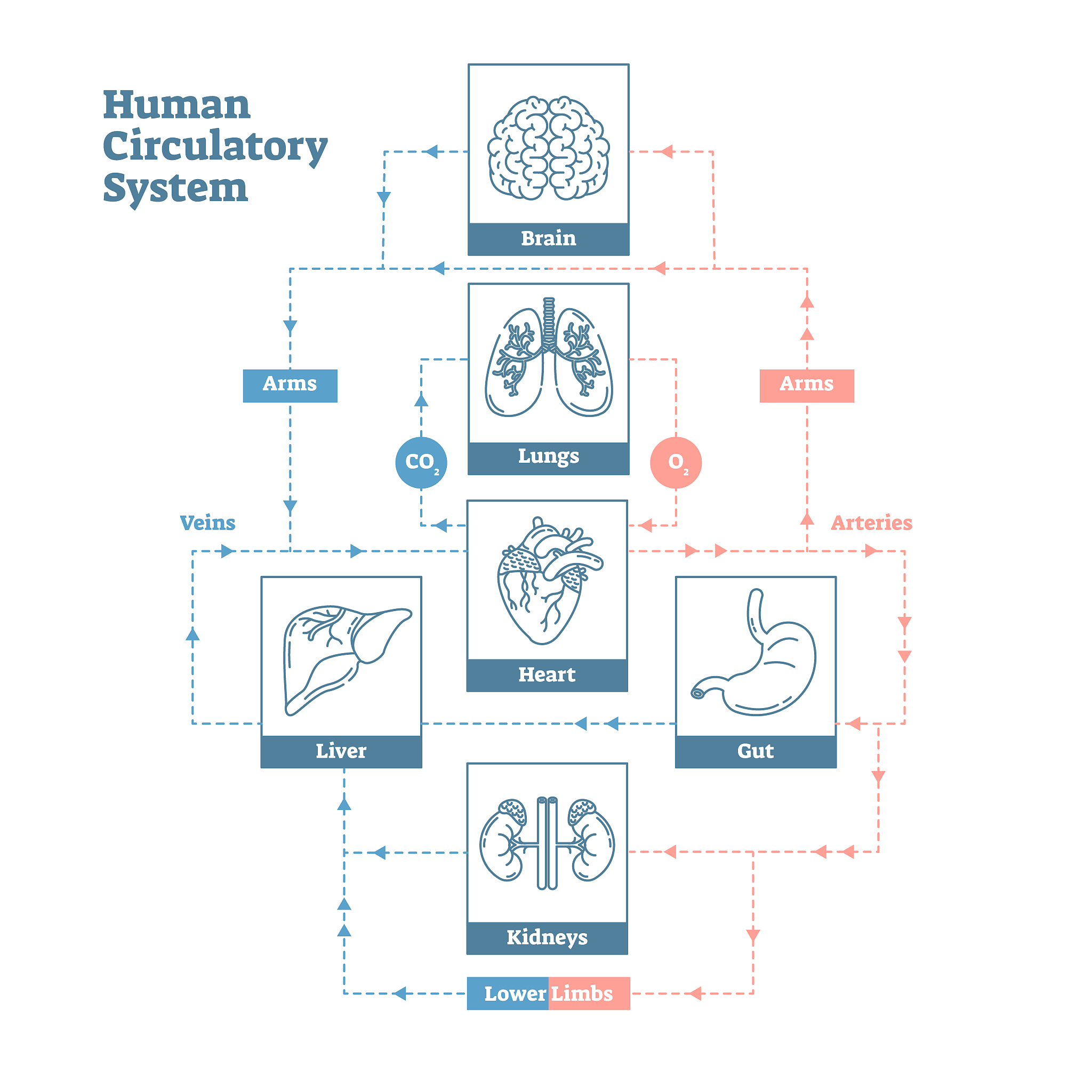 NumPy：Python科学计算和数据分析库