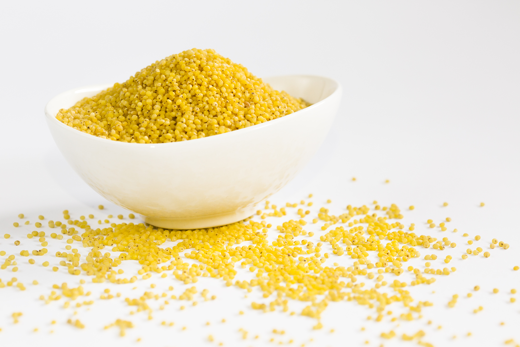 proso millet in white bowl
