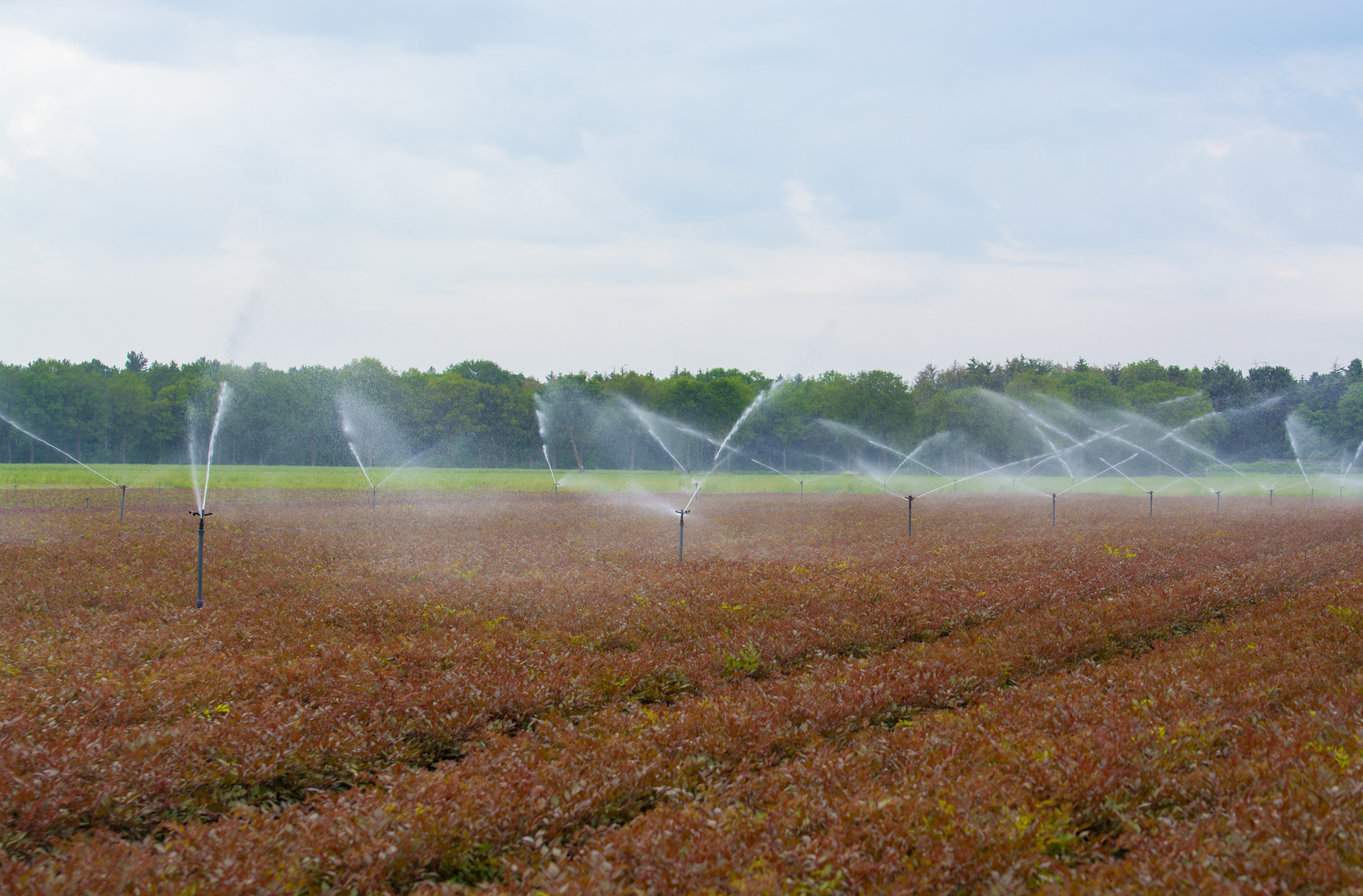 以医务检定员助理的身份写一篇实习日报包含在以医务检定员助理实习过程中遇到的有机化学专业知识包括：实习过程及内容记录典型生产案例记录及分析存在问题、启示在实习过程中熟悉行业的需求理解所在行业对从业人员的基本要求树立职业意识规范职业道德。