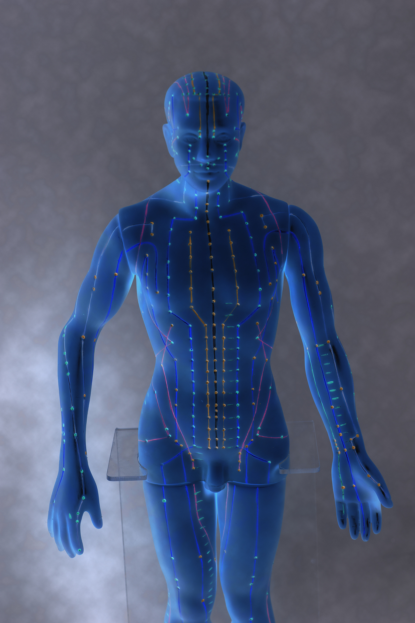 贵阳护理职业学院中药学专业就业前景怎么样？