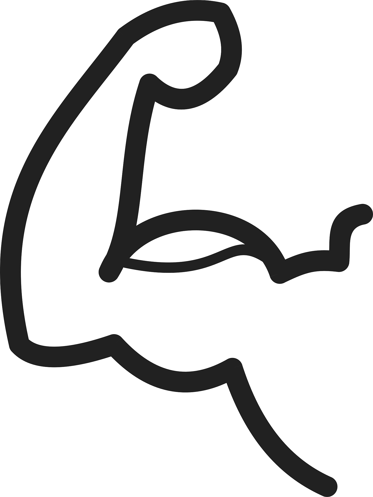 arm muscle