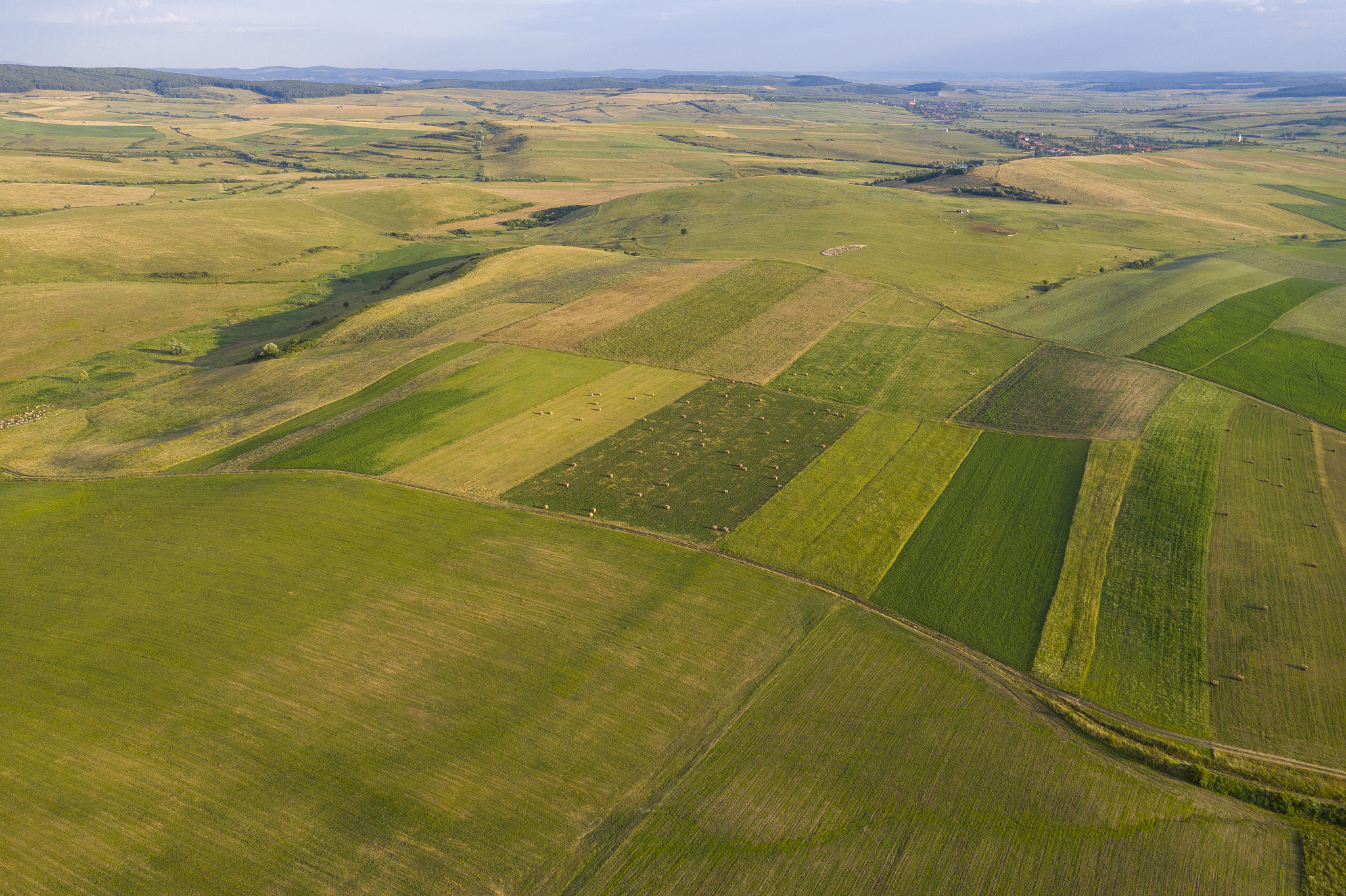 aerial image of a winery located in transylvania, romania