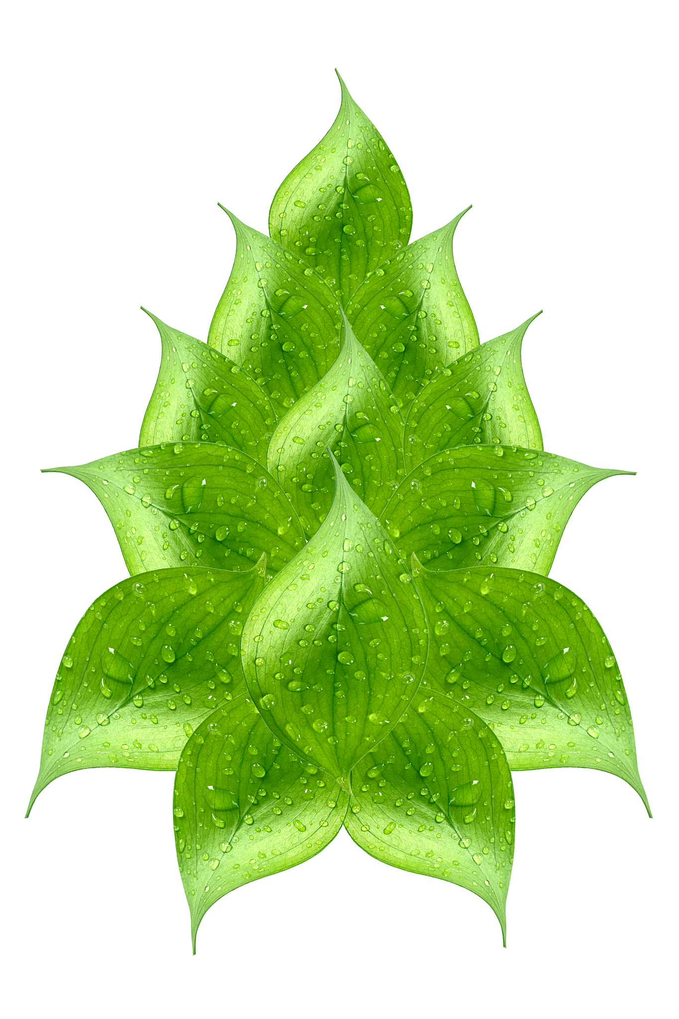 green leaf christmas tree