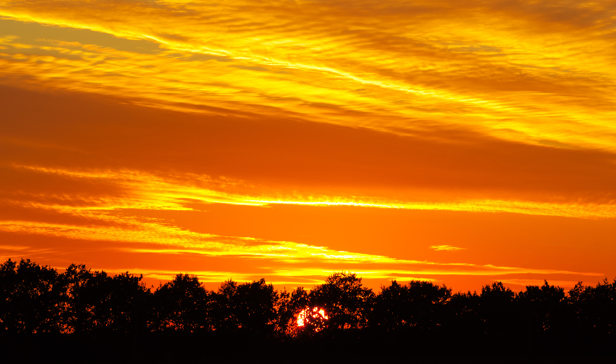 朝霞对夕阳，晚霞对晨曦：揭秘天空中的色彩奇观
