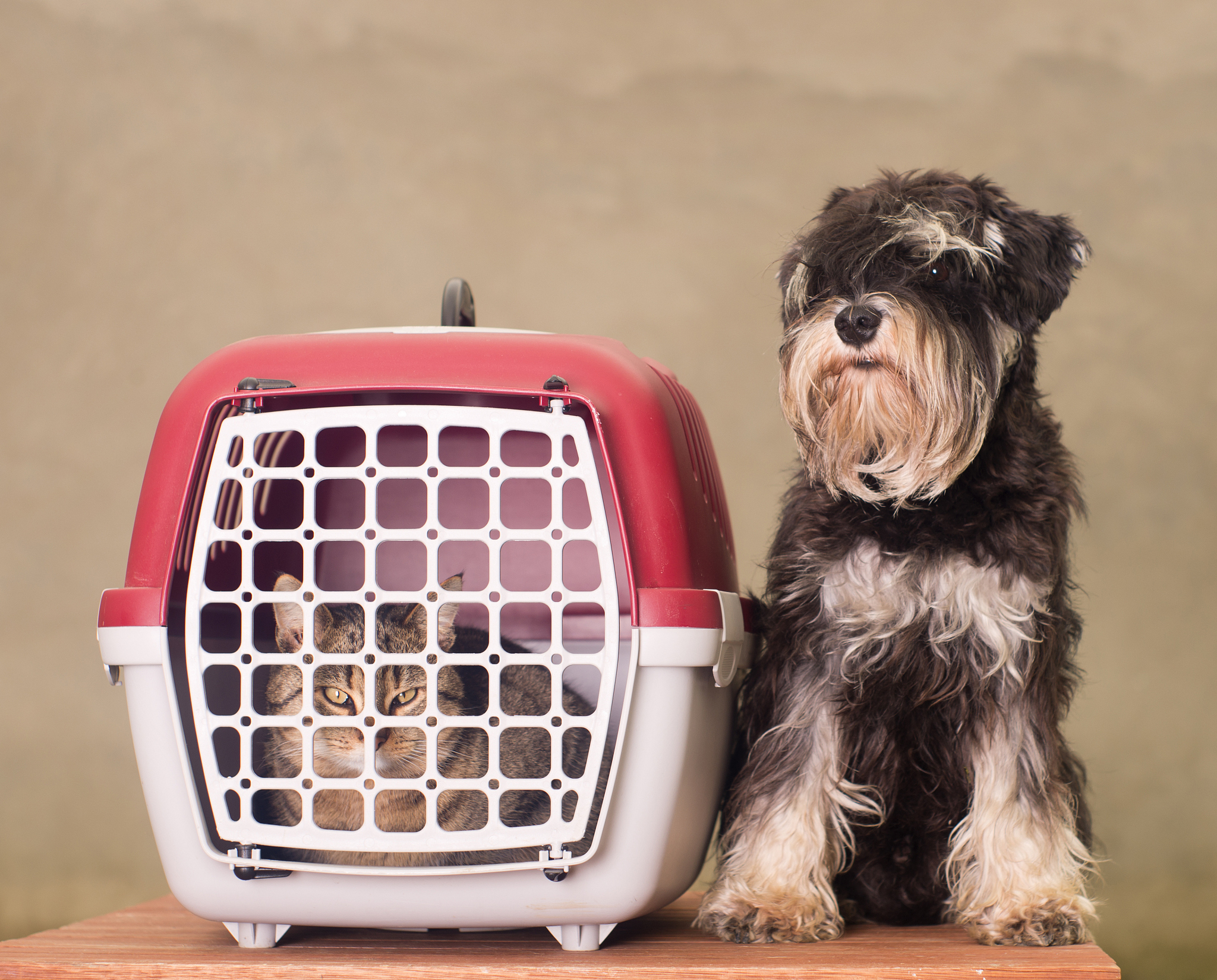 车载狗窝手提式