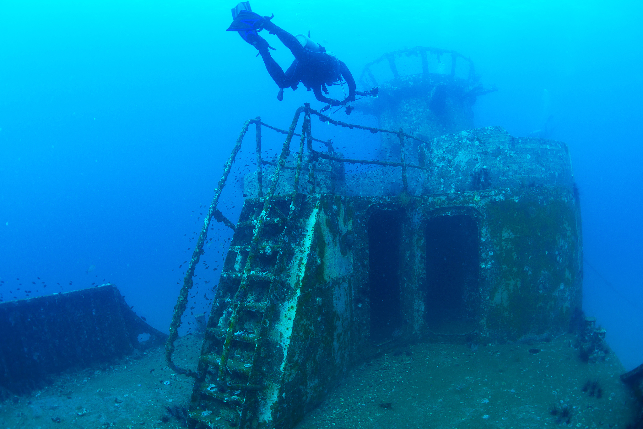 divers exploring the ship wreck in tropical sea
