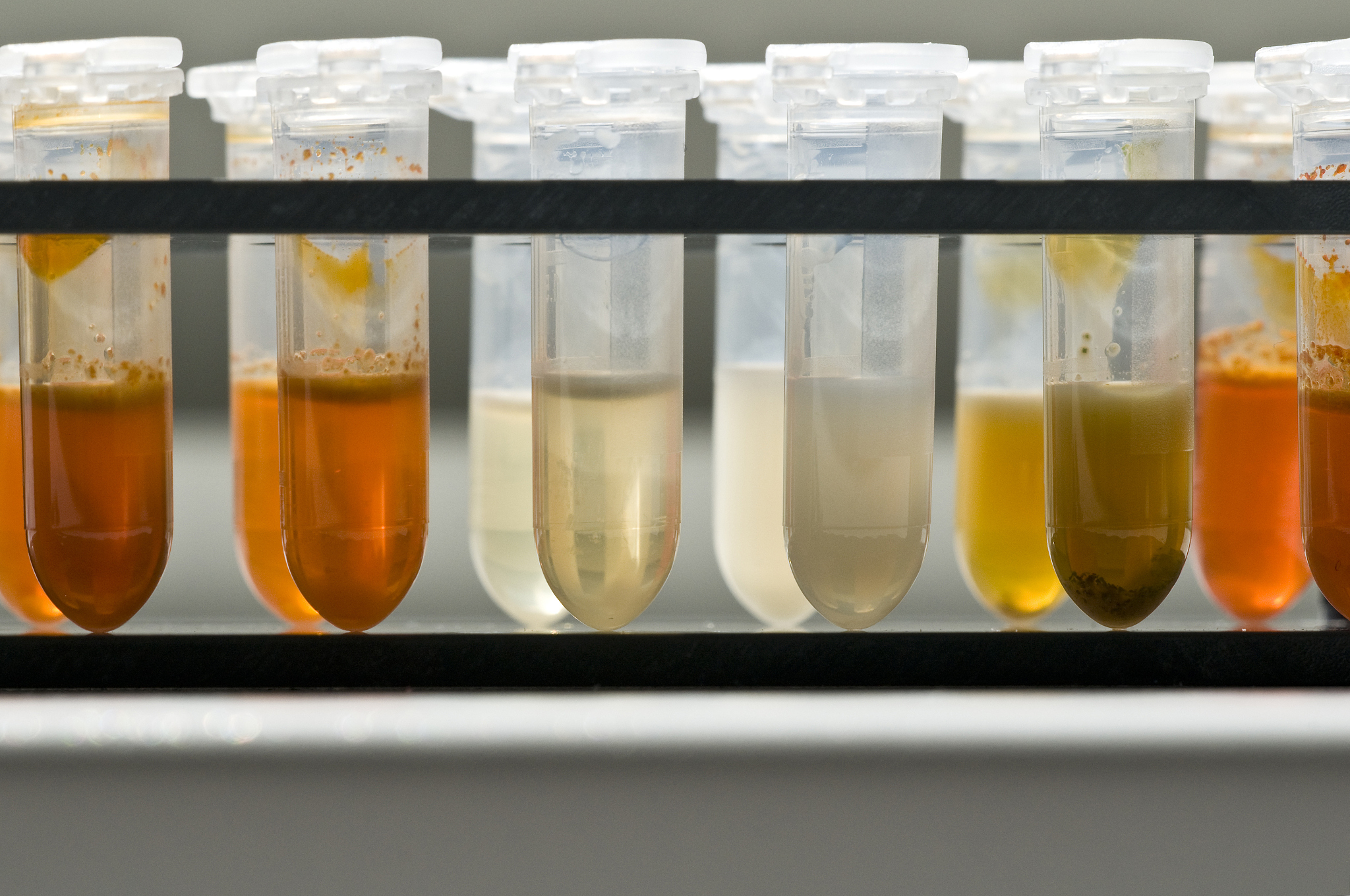 尿液颜色与身体颜色无关：真相大揭秘