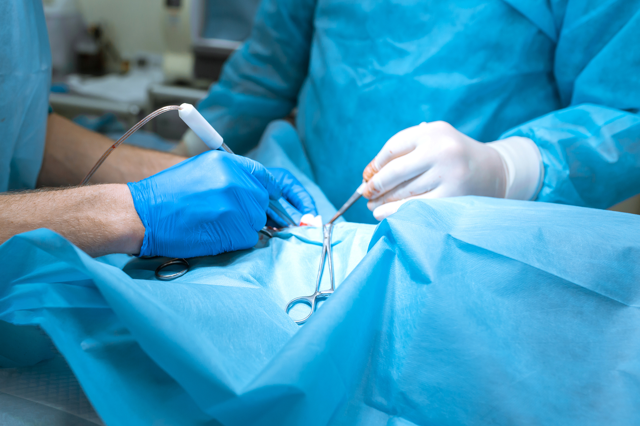 a surgeon veterinarian operates a dog in the operating room with