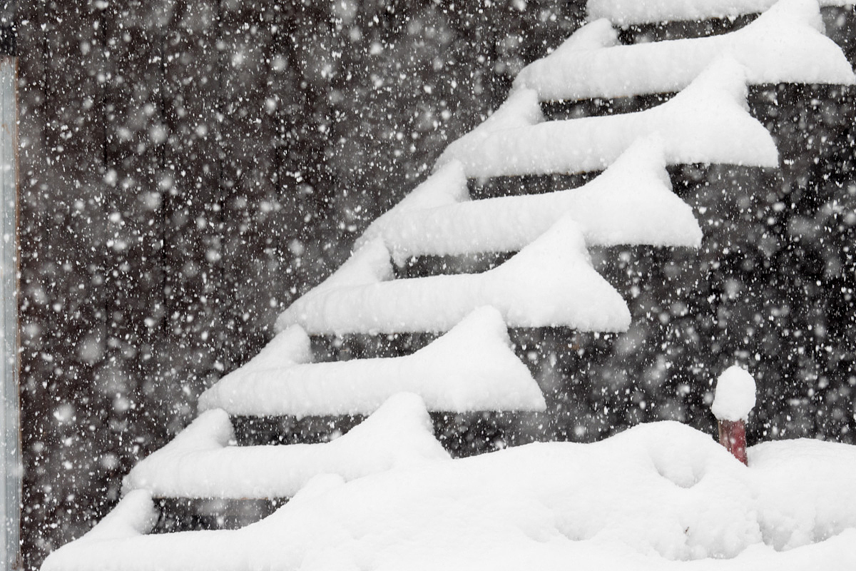 雪中的等待 写一篇300字小学作文