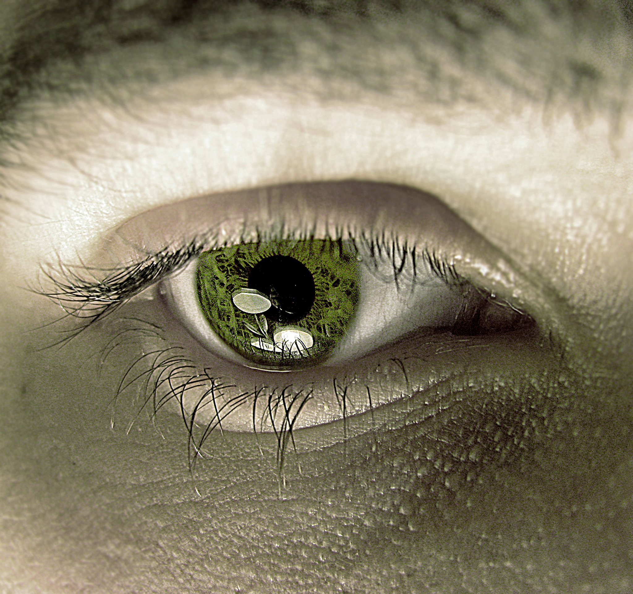 close-up of a persons eye