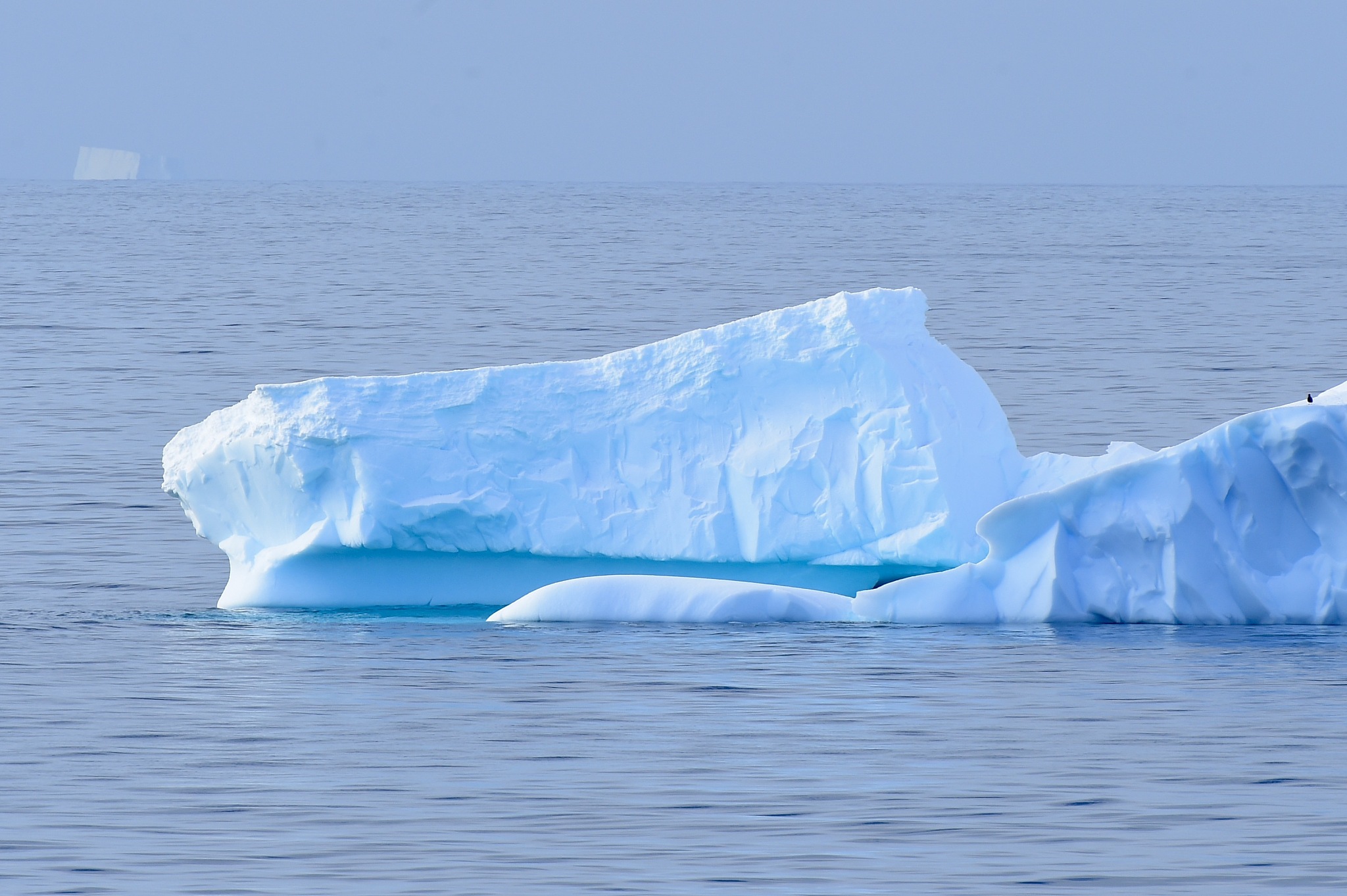antarctica