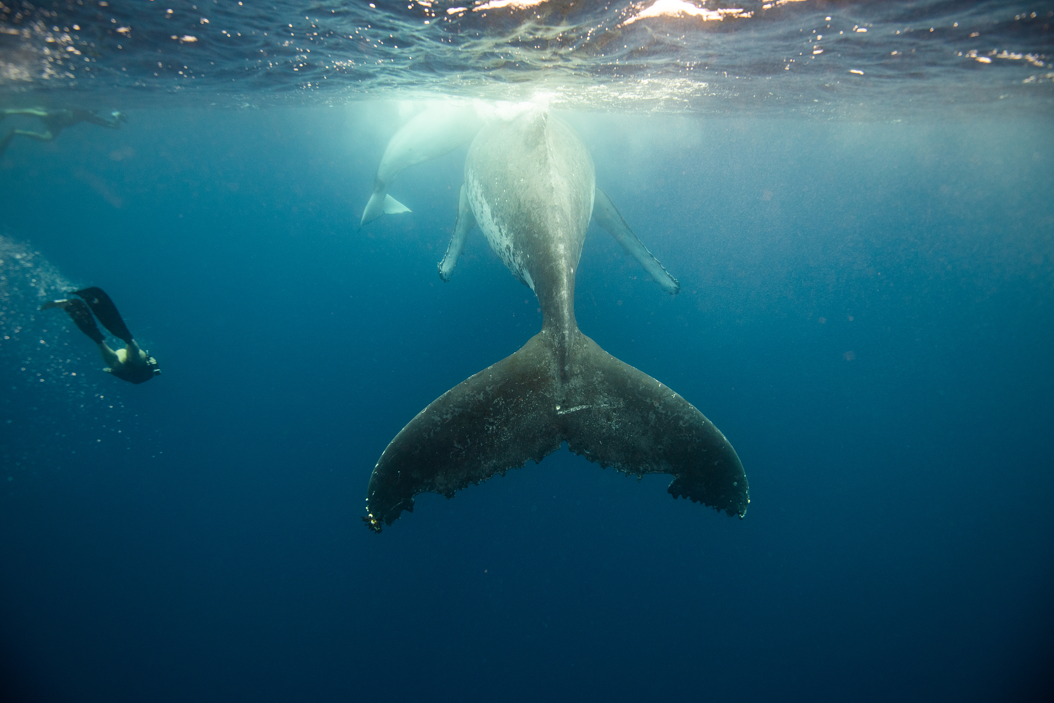 奋楫笃行：坚定信念，努力前行