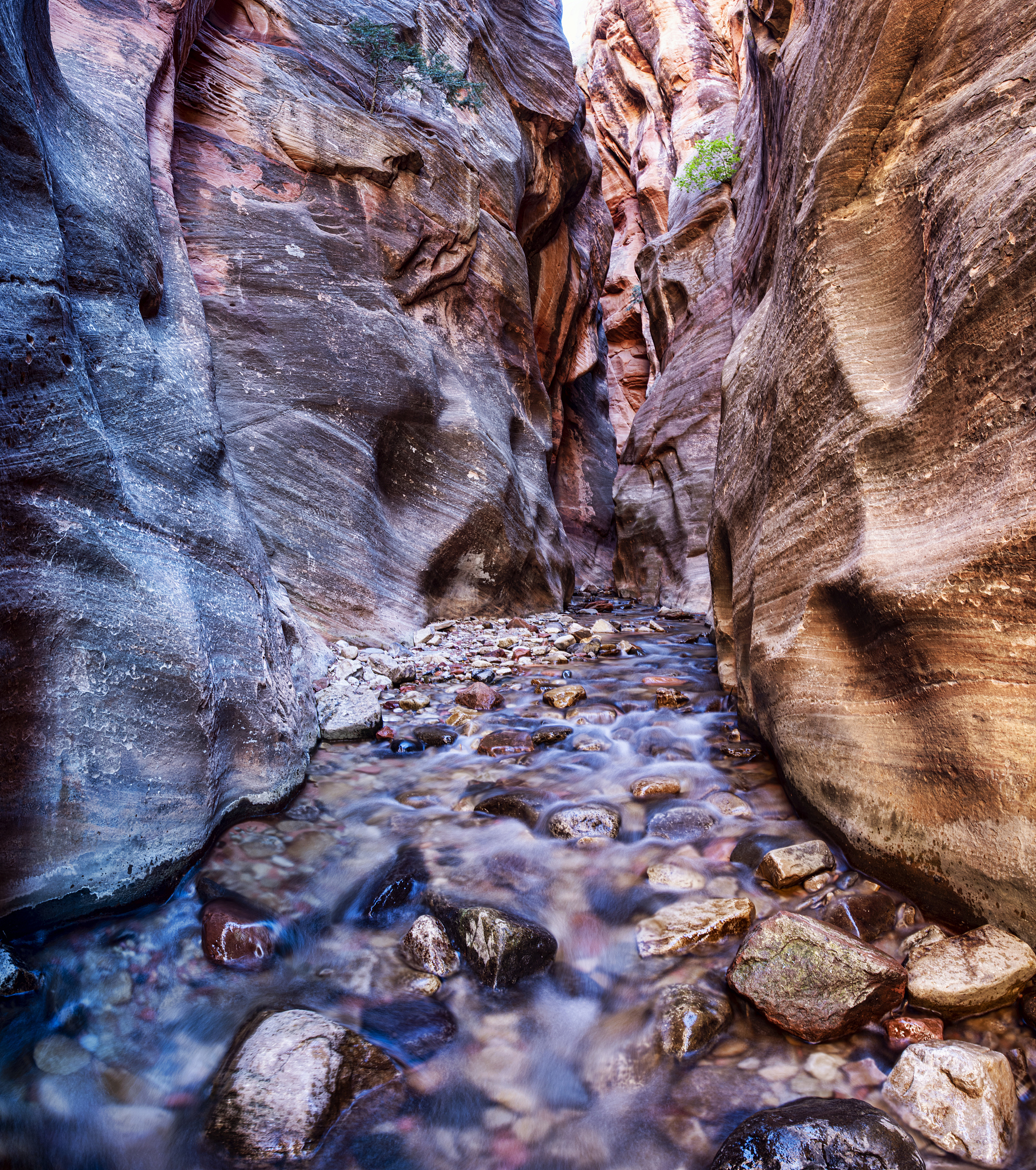 环境谷标准内容：打造绿色环保生态体系