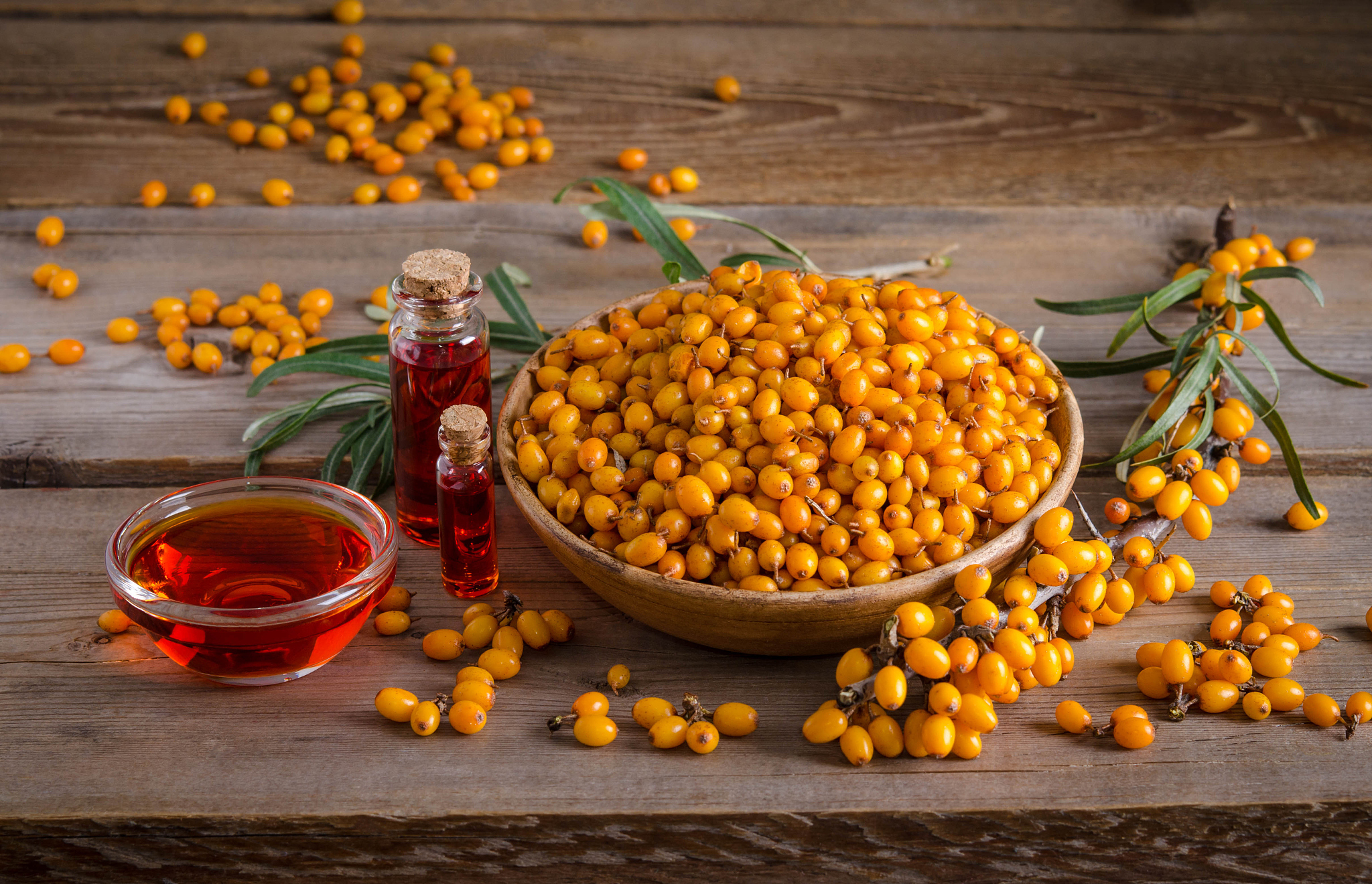 鼎鑫沙棘植物盖片的主要成分包括沙棘果实提取物、维生素C、维生素E、β-胡萝卜素、芦荟提取物等。其中沙棘果实提取物是其主要成分含有丰富的生物活性物质如类黄酮、类胡萝卜素、萜类化合物、有机酸等具有抗氧化、抗炎、免疫调节、抗肿瘤等多种生物活性。同时维生素C、维生素E、β-胡萝卜素等成分也具有良好的抗氧化作用能够保护细胞不受自由基的损伤。芦荟提取物则具有保湿、镇静、消炎等功效能够改善皮肤状况。