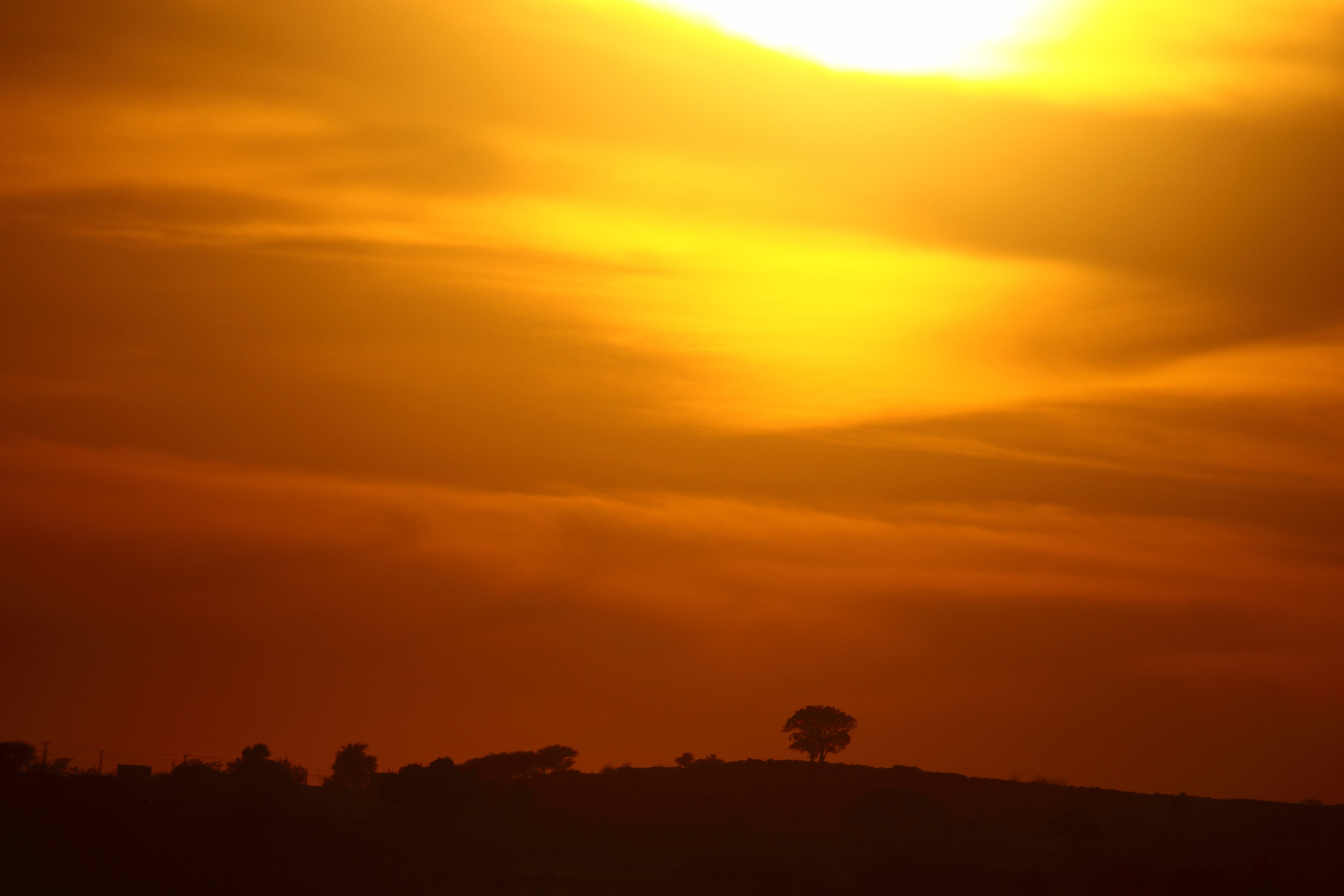 夕阳西下的诗句