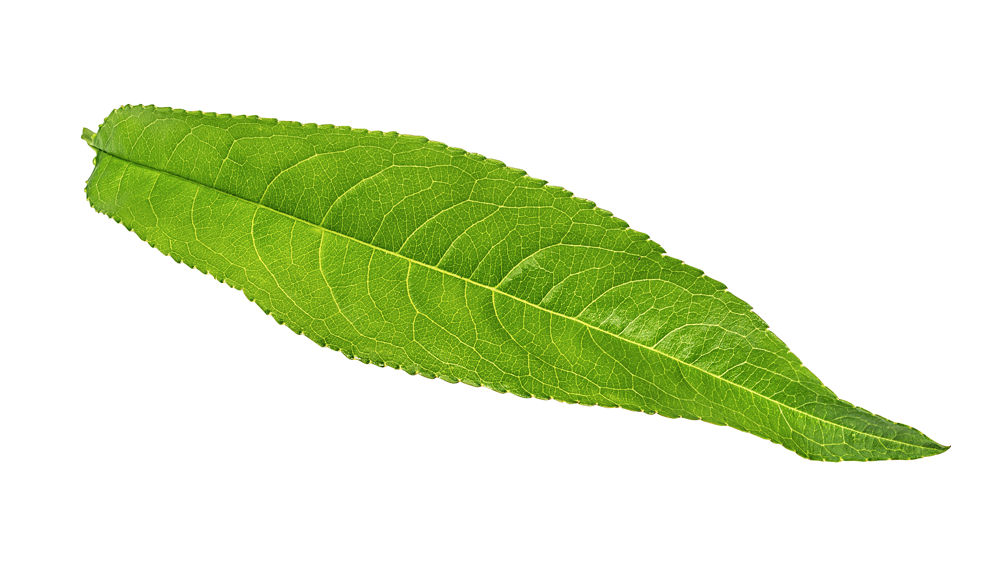 潍坊职业学院种子生产与经营专业怎么样