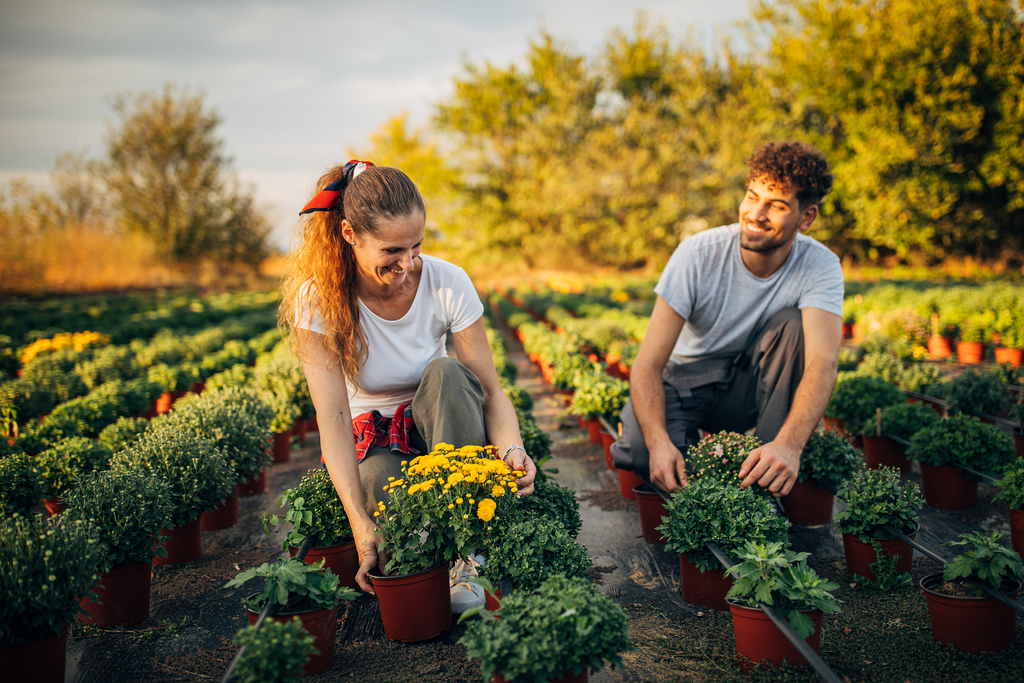 曲靖市农业中等学校五年制大专重点特色招生专业