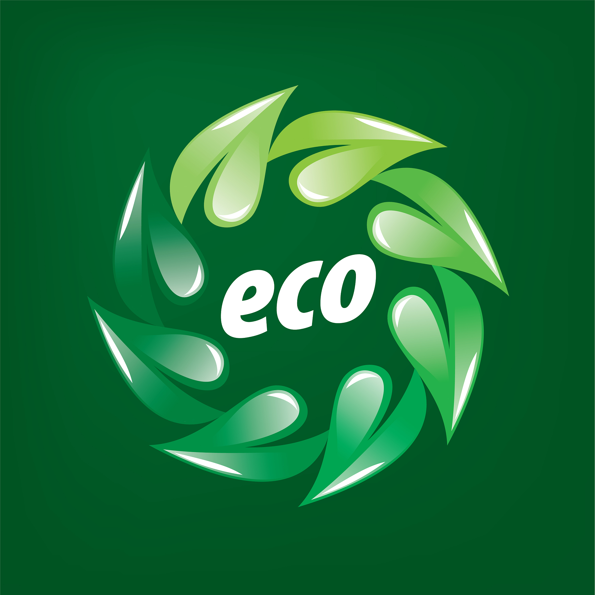 logo eco
