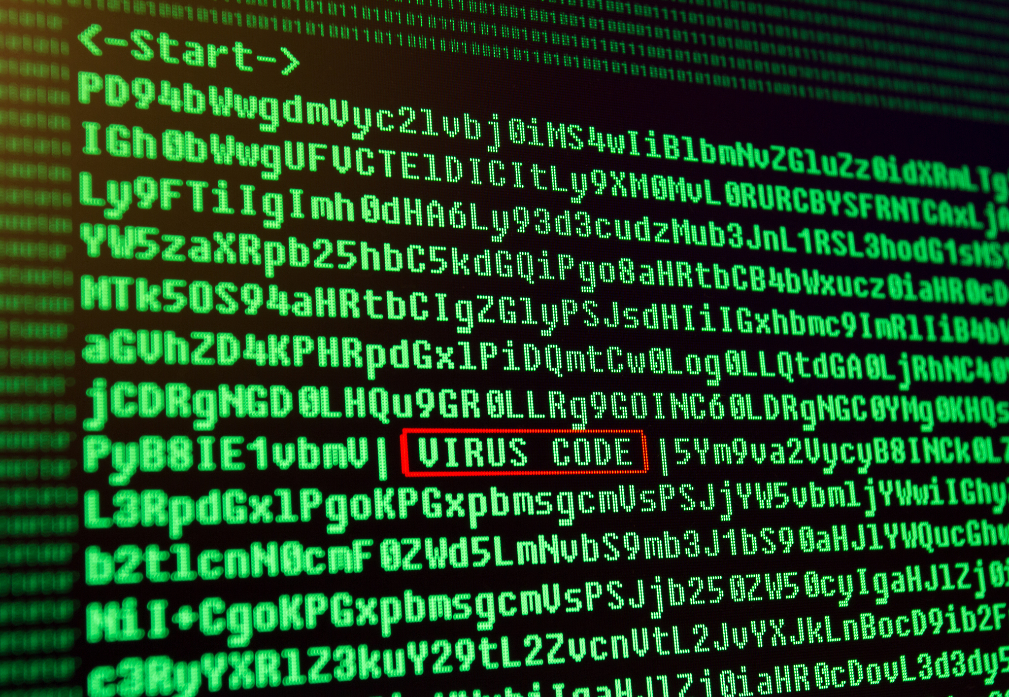 computer virus in program code. concept