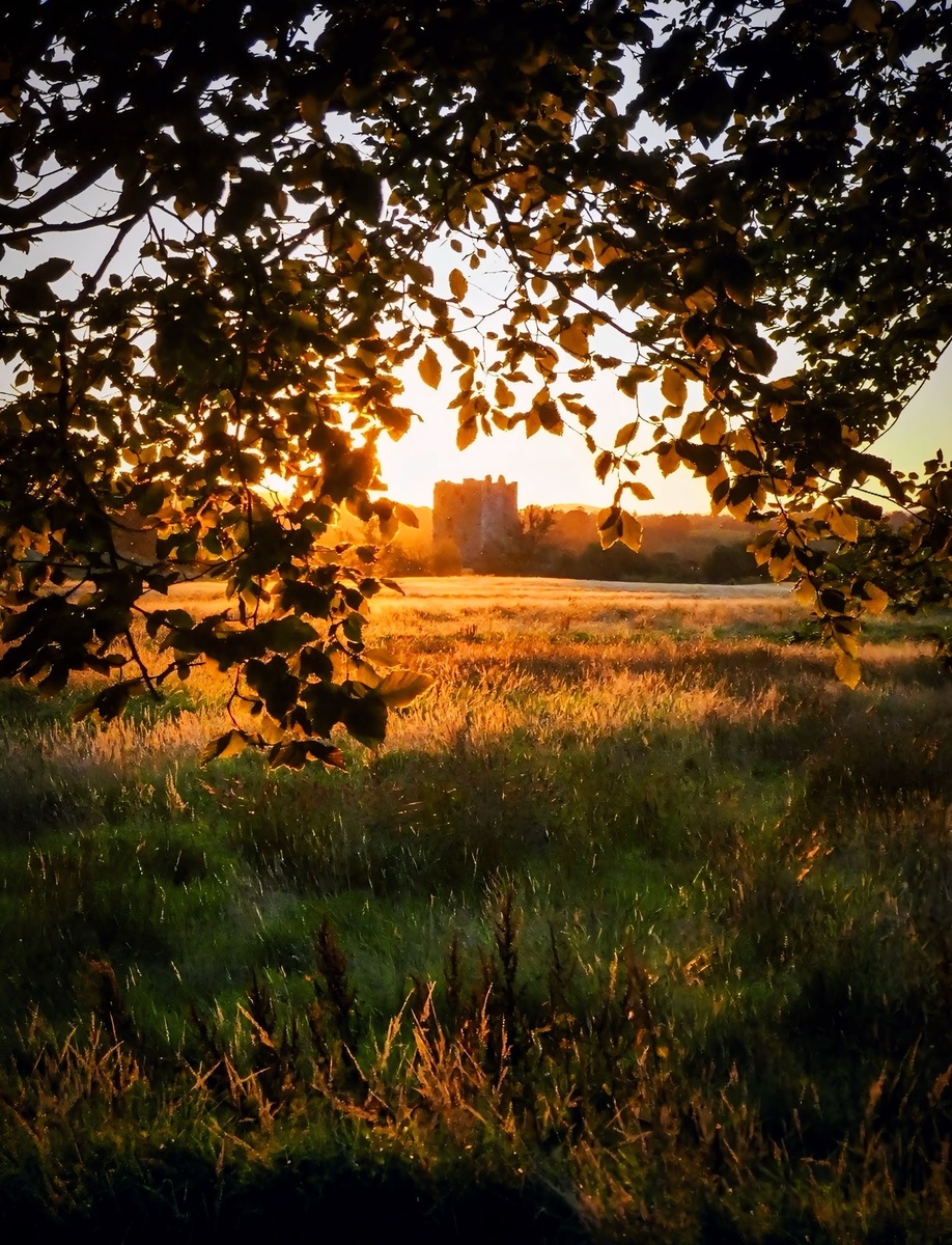 大概是风太大了吧续写唯美文案