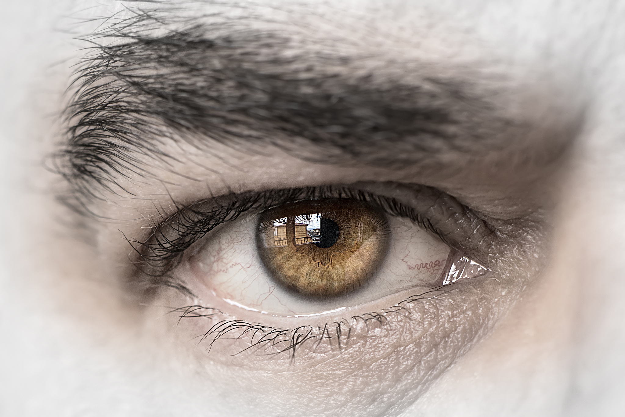eye man close-up