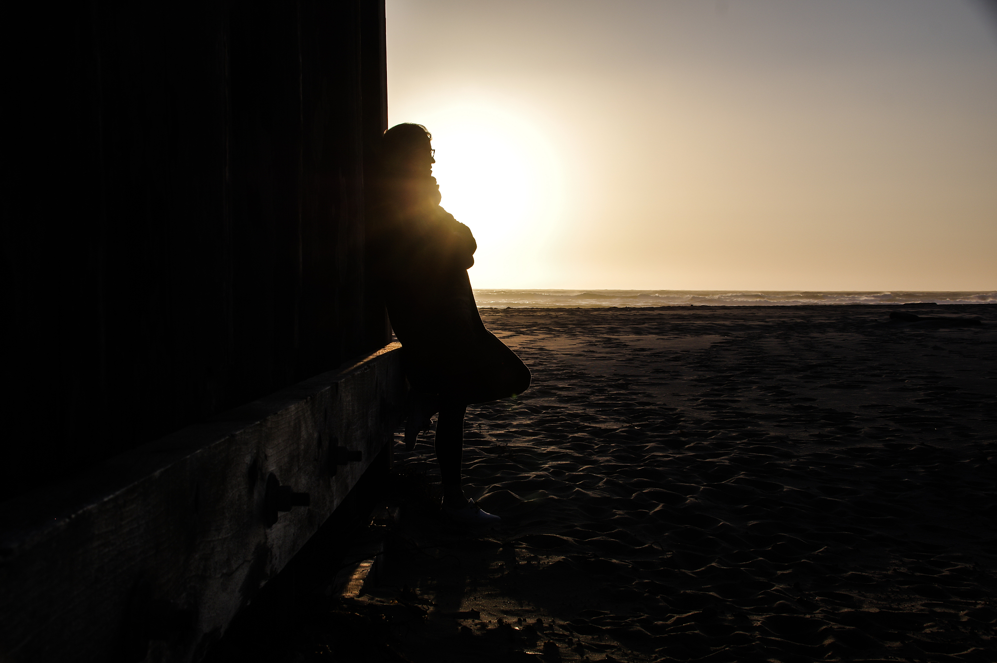 绝望之镇：夕阳下的哭泣与向日葵的希望