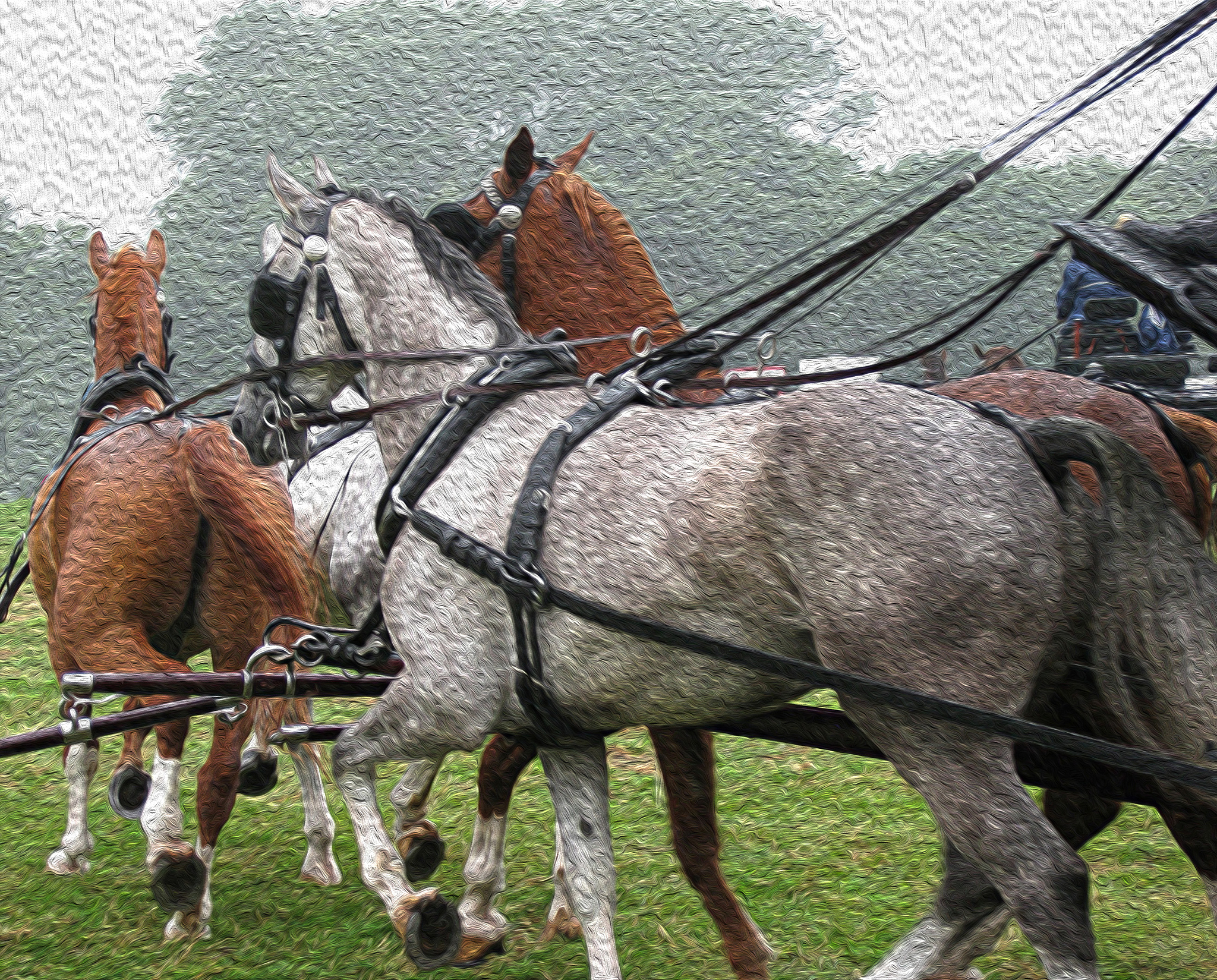 horses illustration