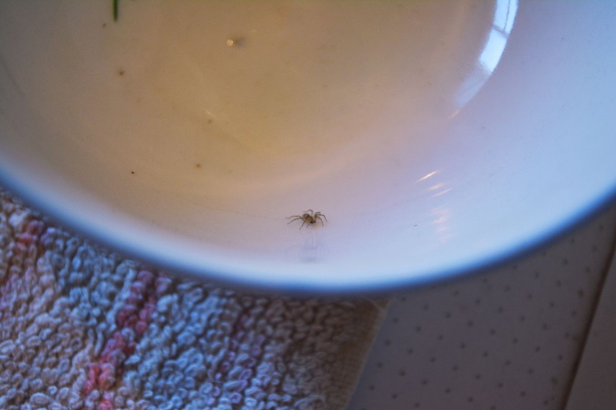 在学校食堂吃饭里面有虫子咋办想发个朋友圈怎么编辑