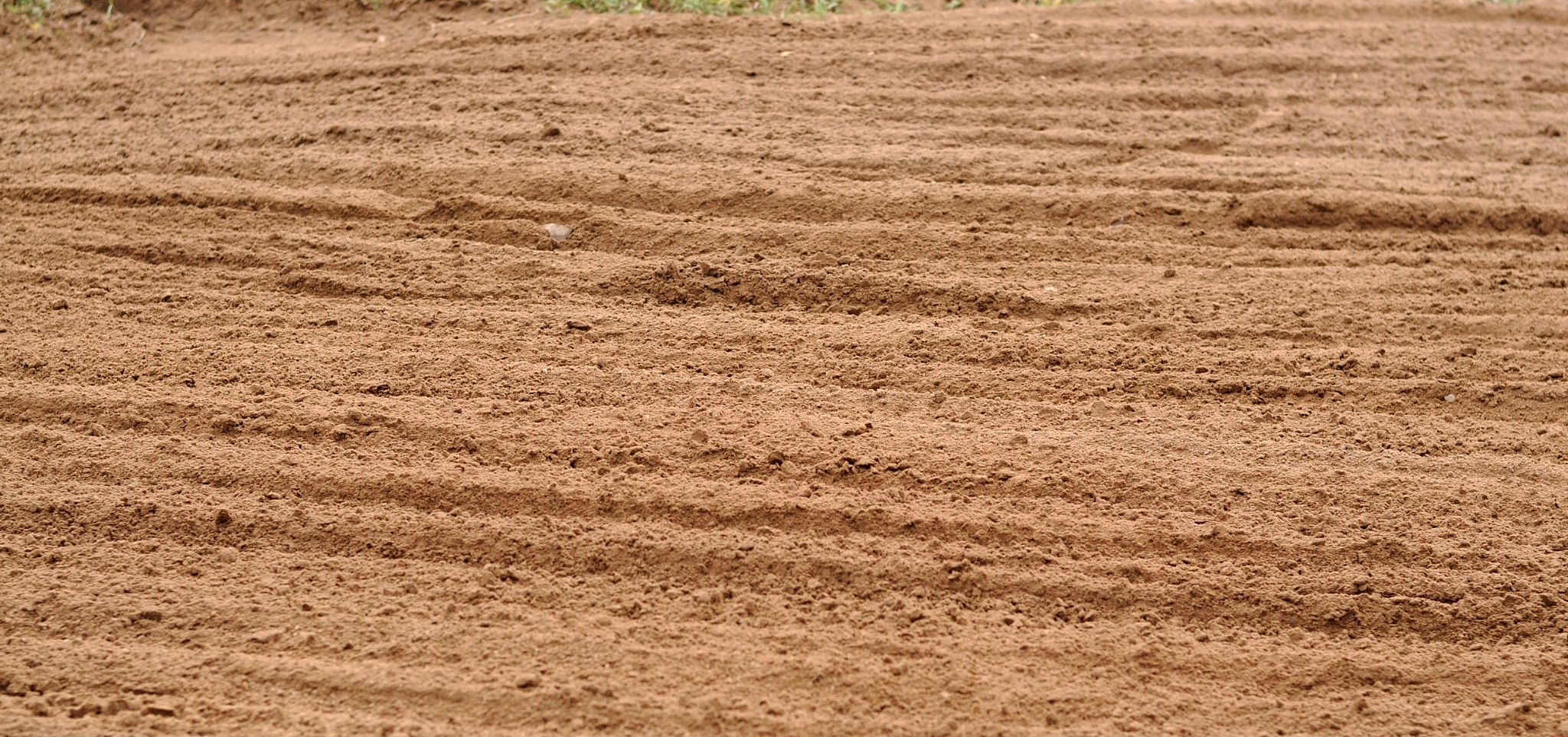 tire tracks motorcycle
