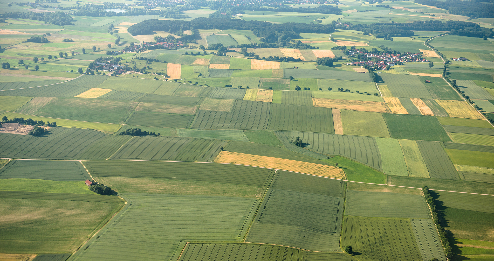 aerial view of cultivated land on bavaria