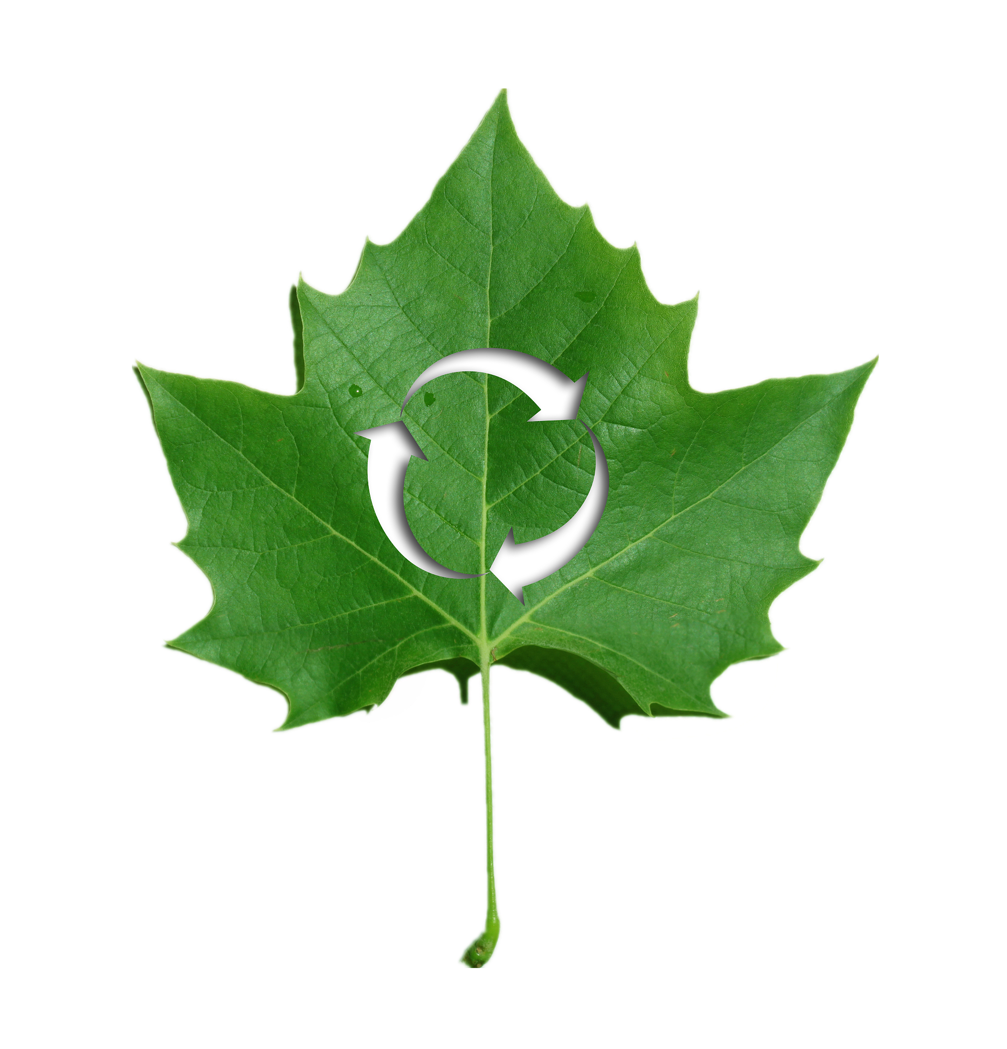 加油站环保建筑：绿色材料、节能设备、可再生能源