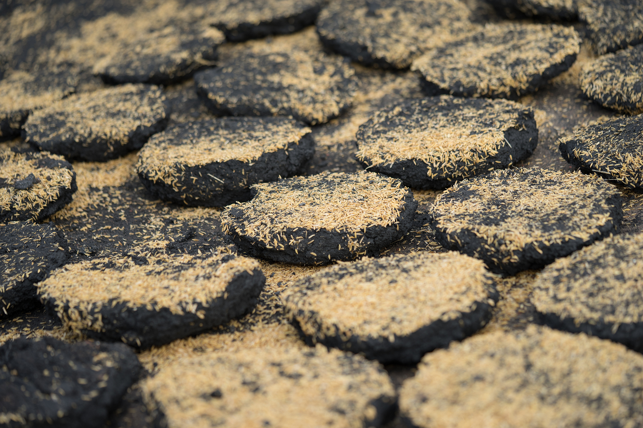 锅炉燃料的特性；煤的成分分析和分类；参考书目1樊泉桂主编锅炉原理第二版中国电力出版社2014年2月；2沈士一等编汽轮机原理中国电力出版社1992年6月