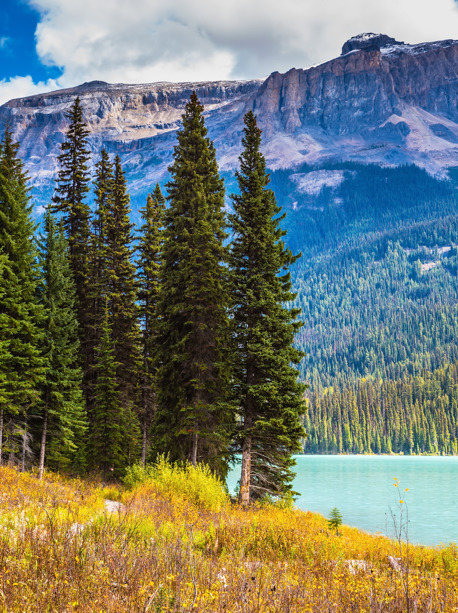 安徽林业职业技术学院森林生态旅游专业怎么样