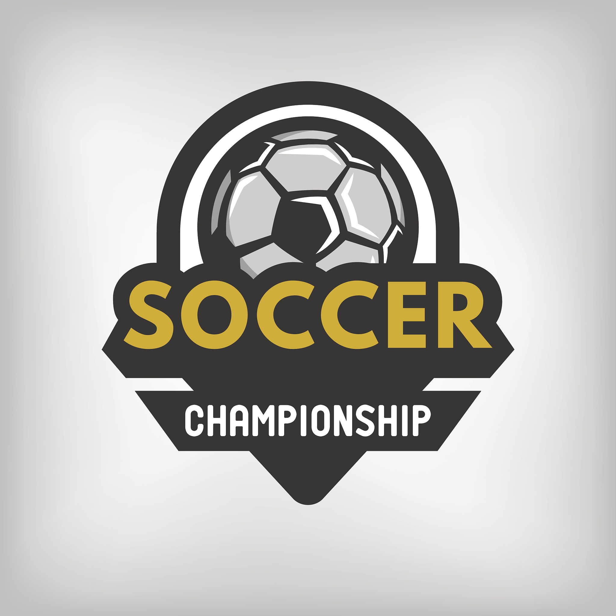 soccer sports logo.