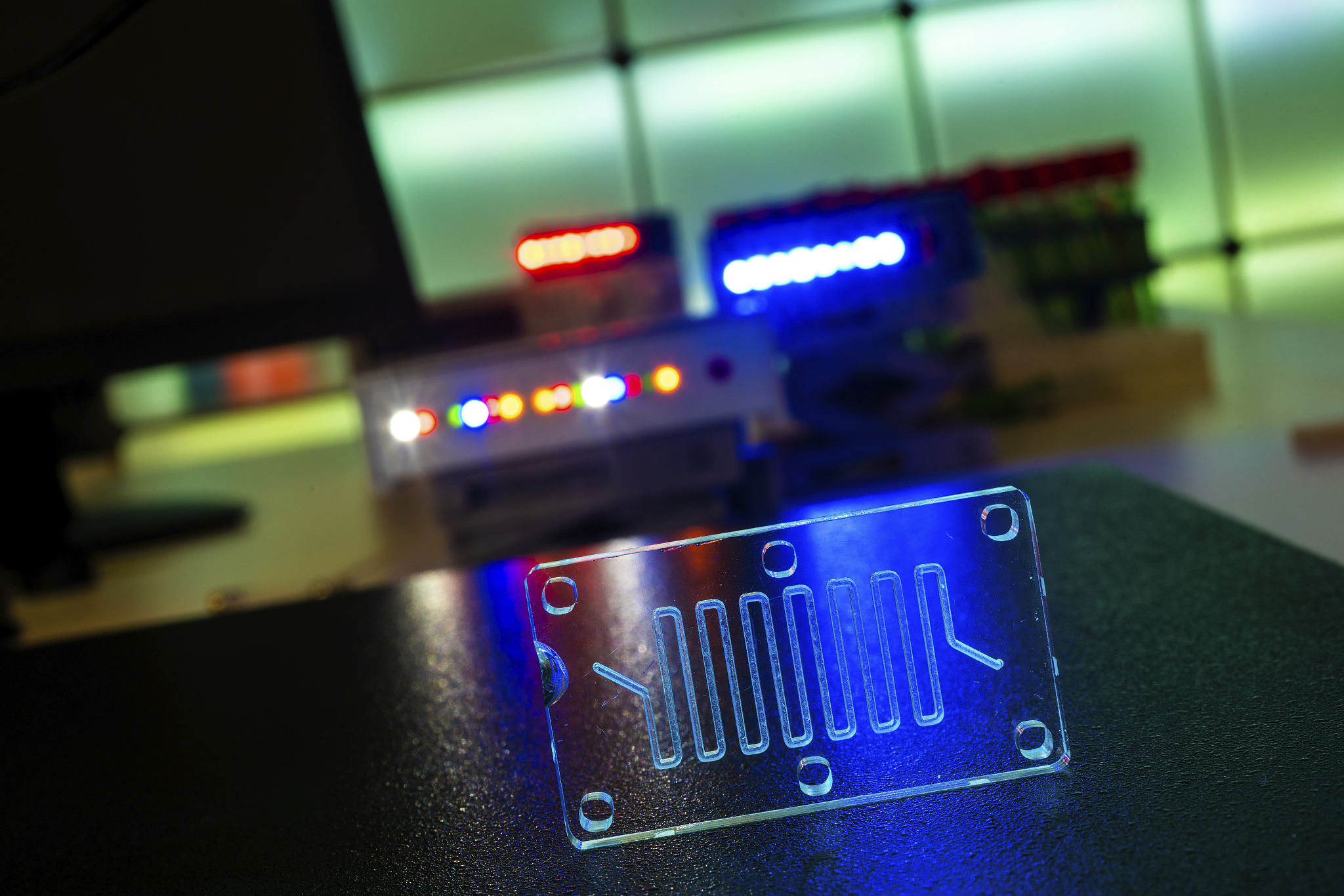 围绕放射领域类器官和人工生物器官平台构建的重要性总体目标可取得的成果和能形成的服务能力写一段话