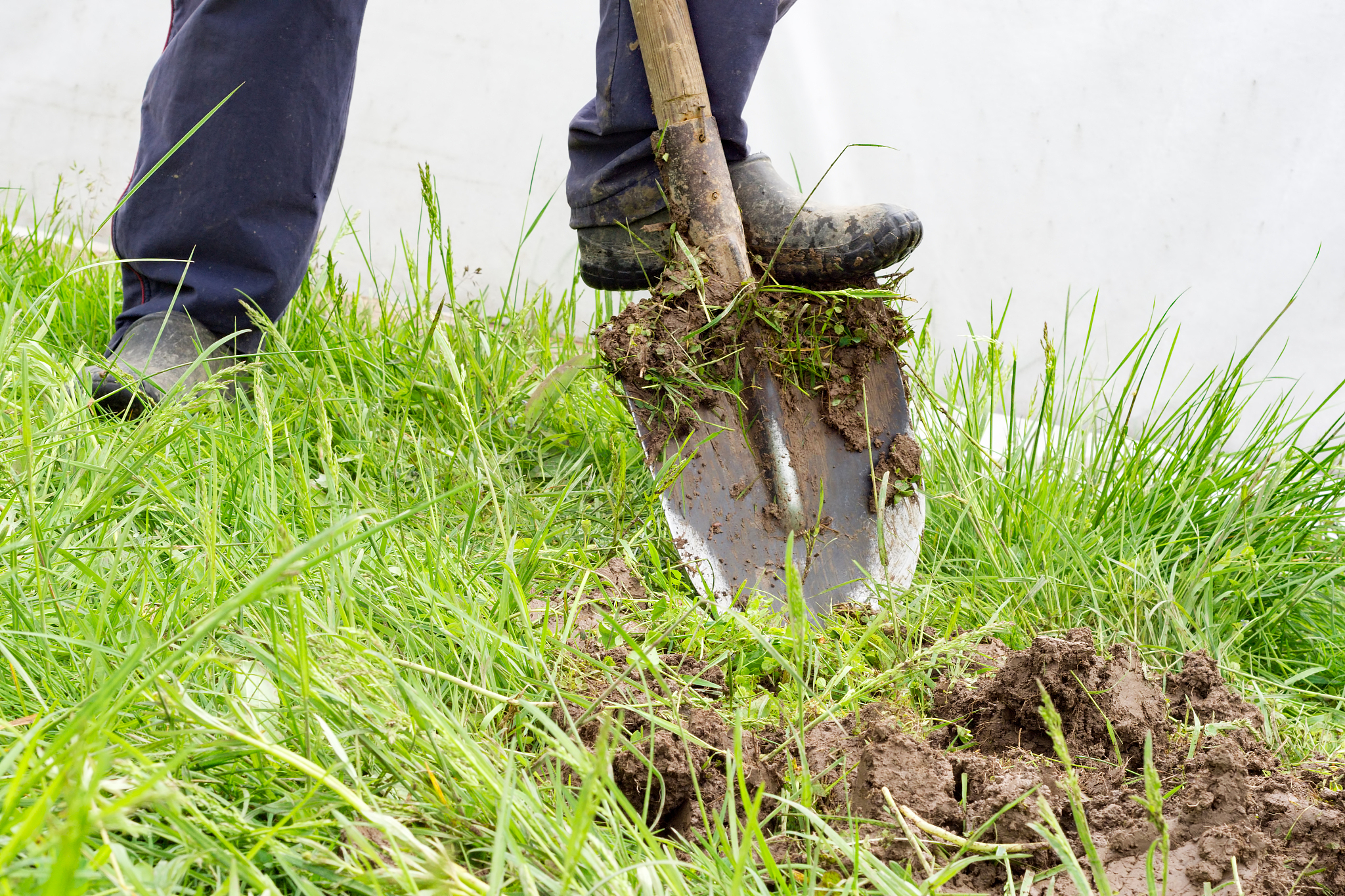 兰州园艺学校设施农业技术专业就业