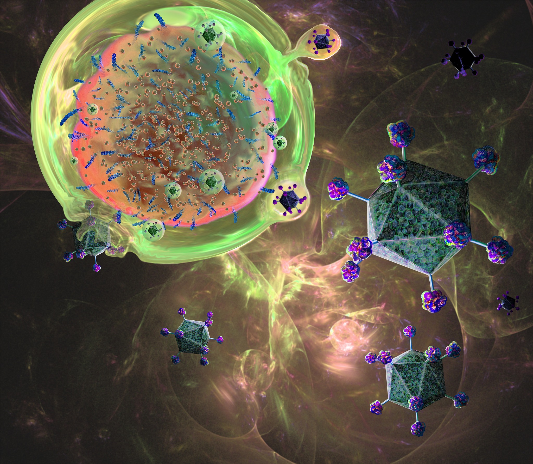 treg在乙肝进程中的作用