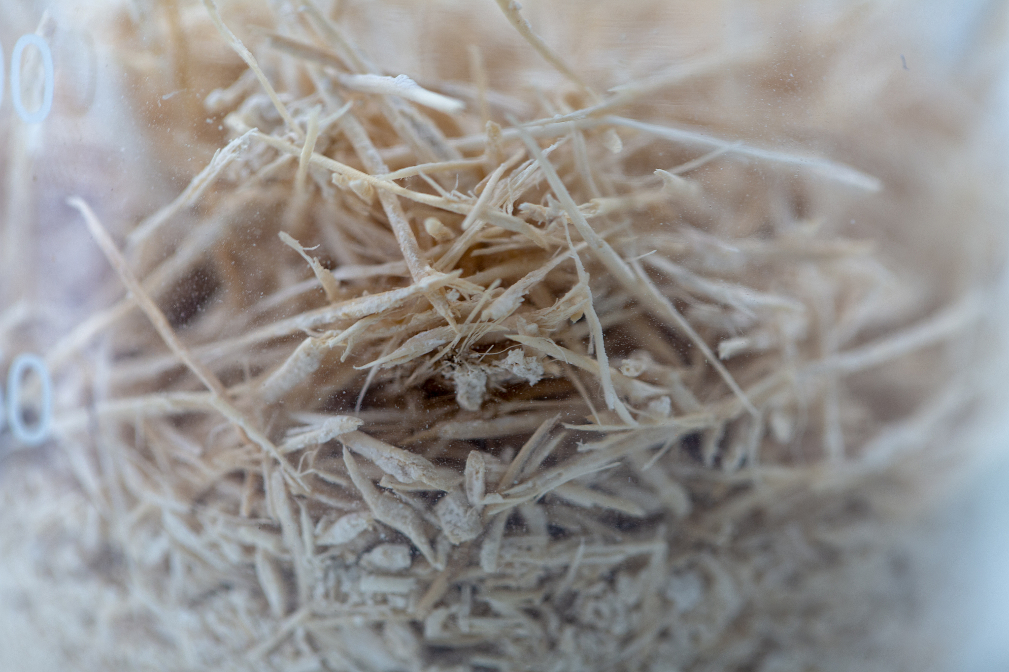 生物质催化热解技术的基本理论知识