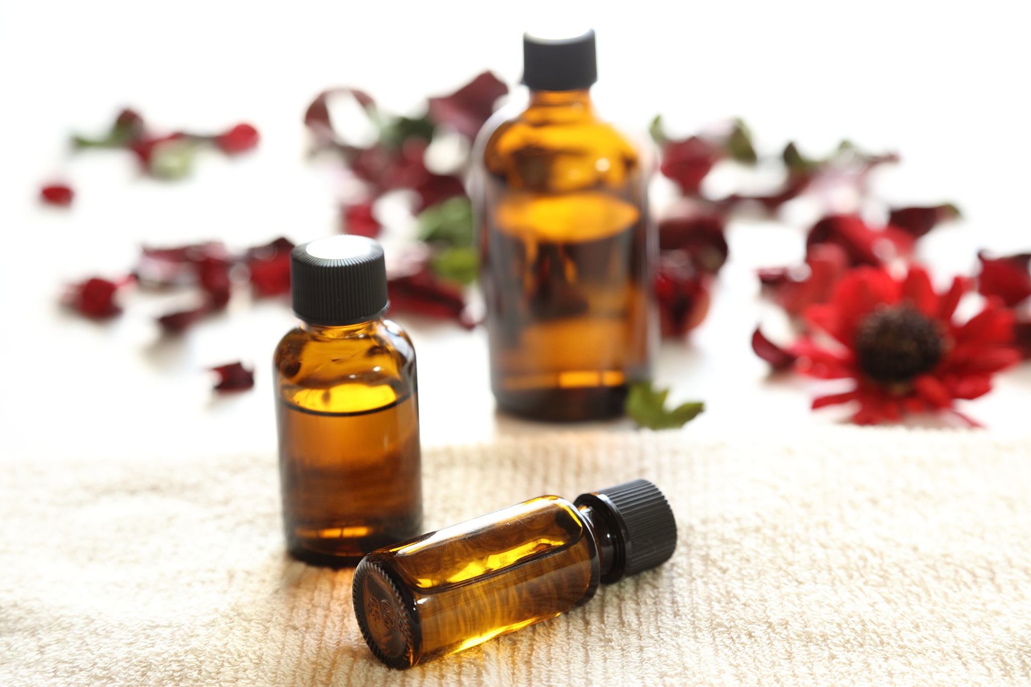 ドテラ (doTERRA) - 纯天然精油的国际品牌