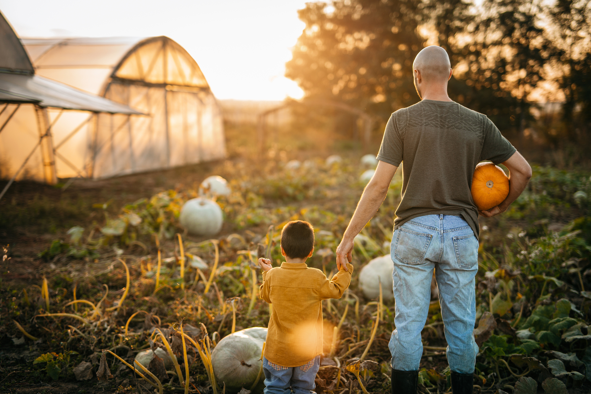 proud of our pumpkin field