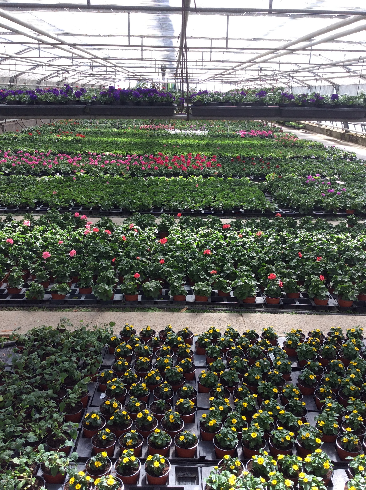 甘肃果蔬花卉生产技术专业学校哪家强这几所学校别错过!