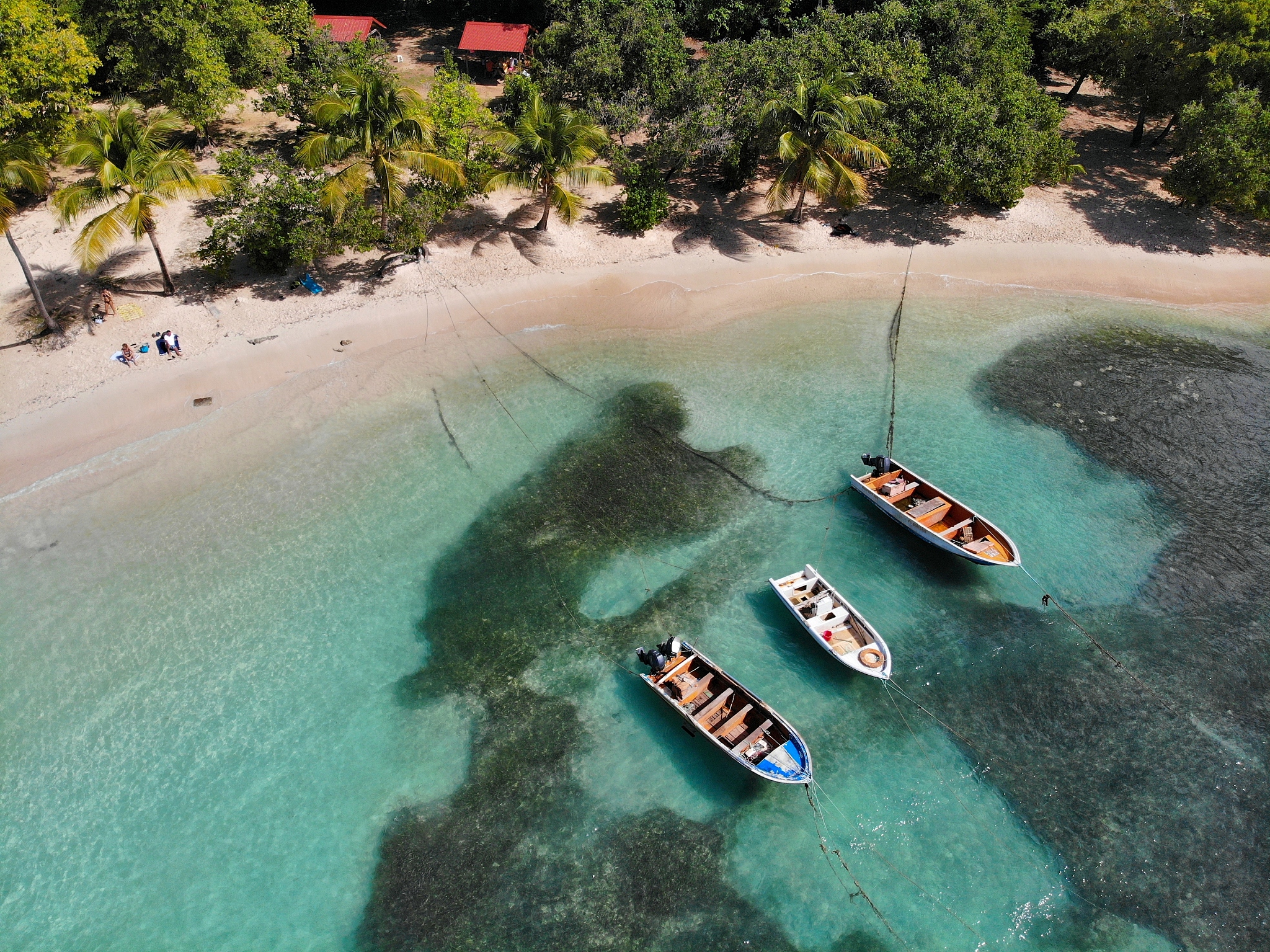 guadeloupe beach