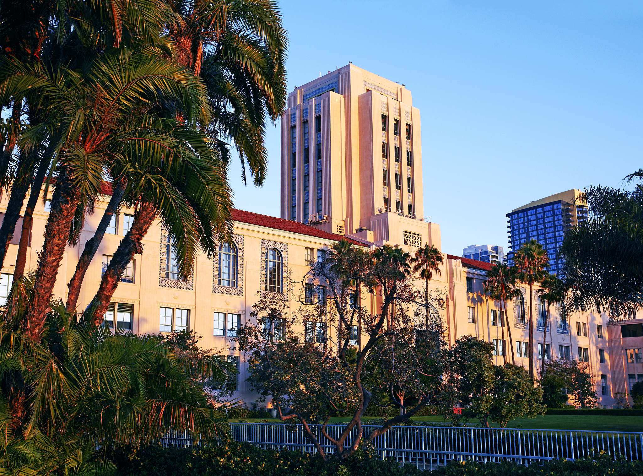 Chuan Xiang: The 'Brother Fly' Dedicated to Keeping Nanjing Clean