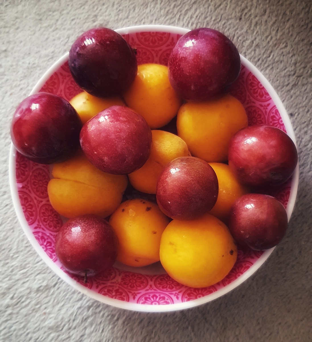 🔥降火宝藏水果'西湖果莲'，你还不来尝鲜？