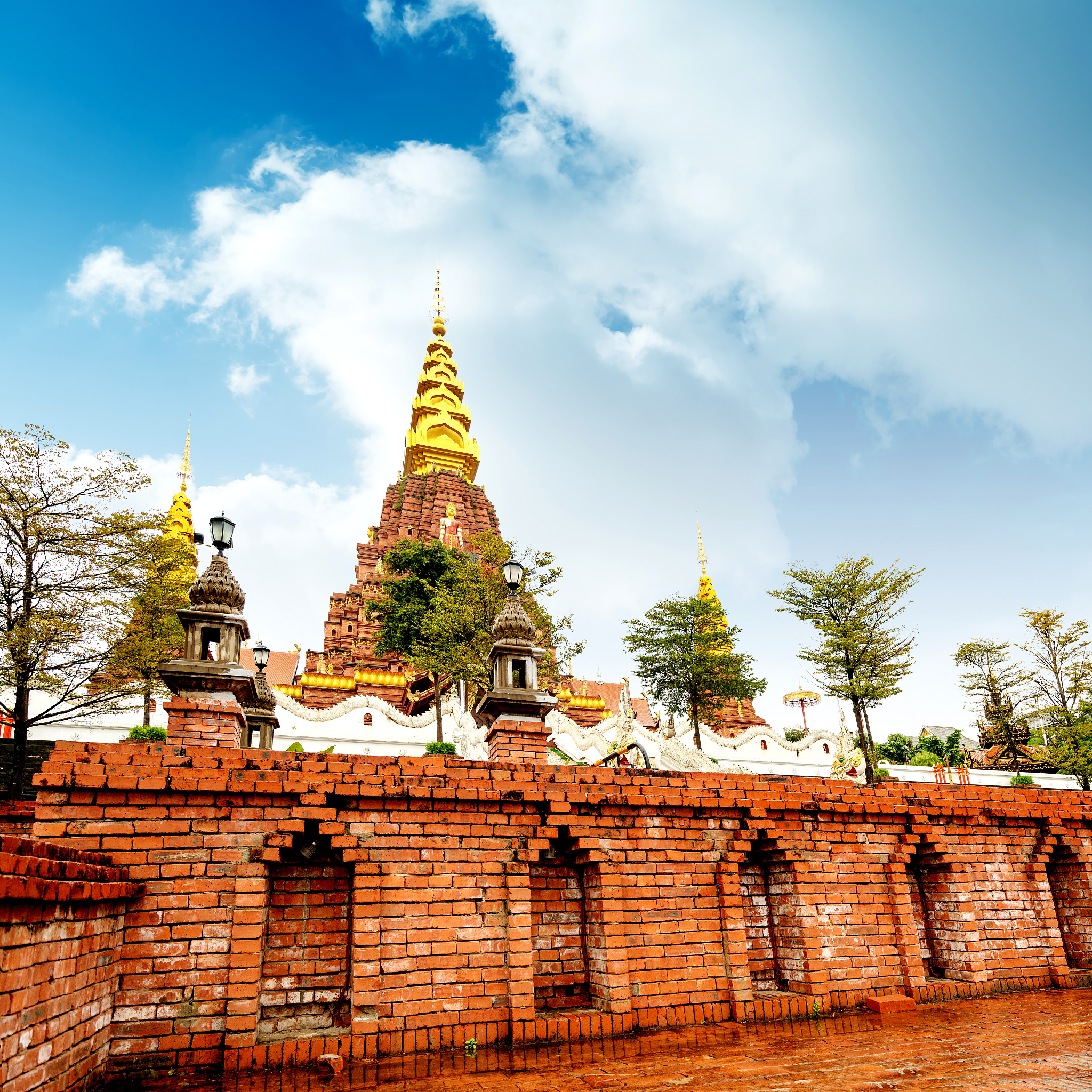 西双版纳卫校招生专业|西双版纳卫生学校招生信息